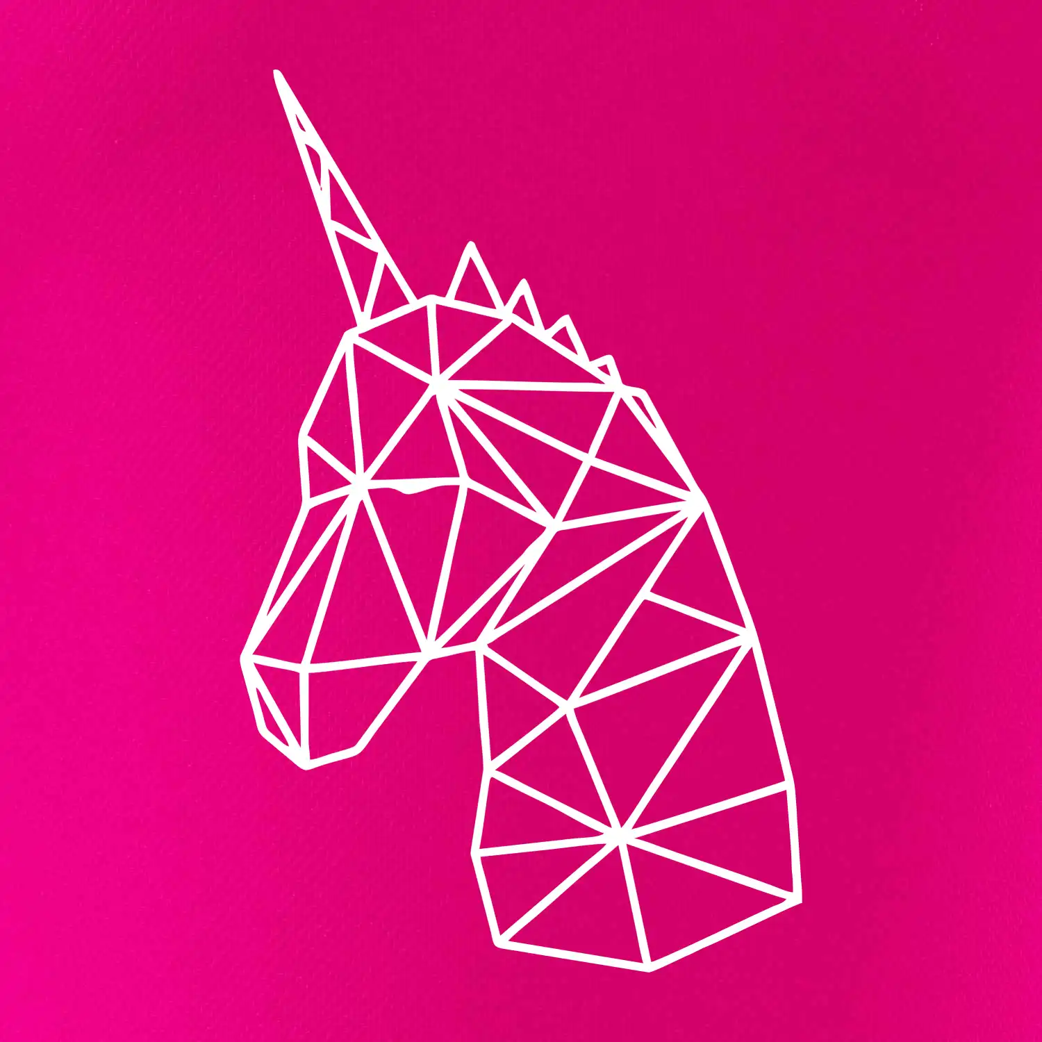 Geometrie - Jednorožec