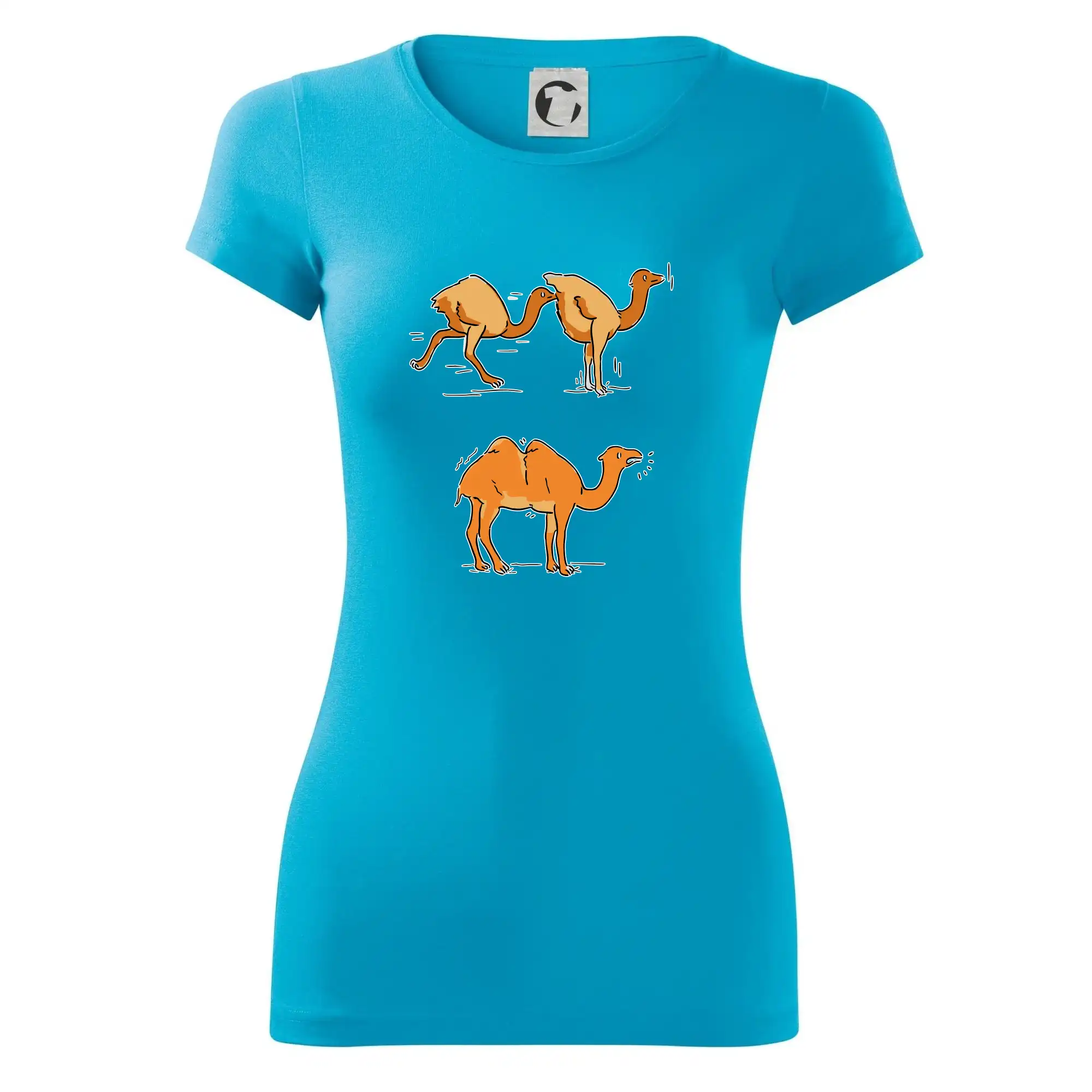 Pravda o velbloudech