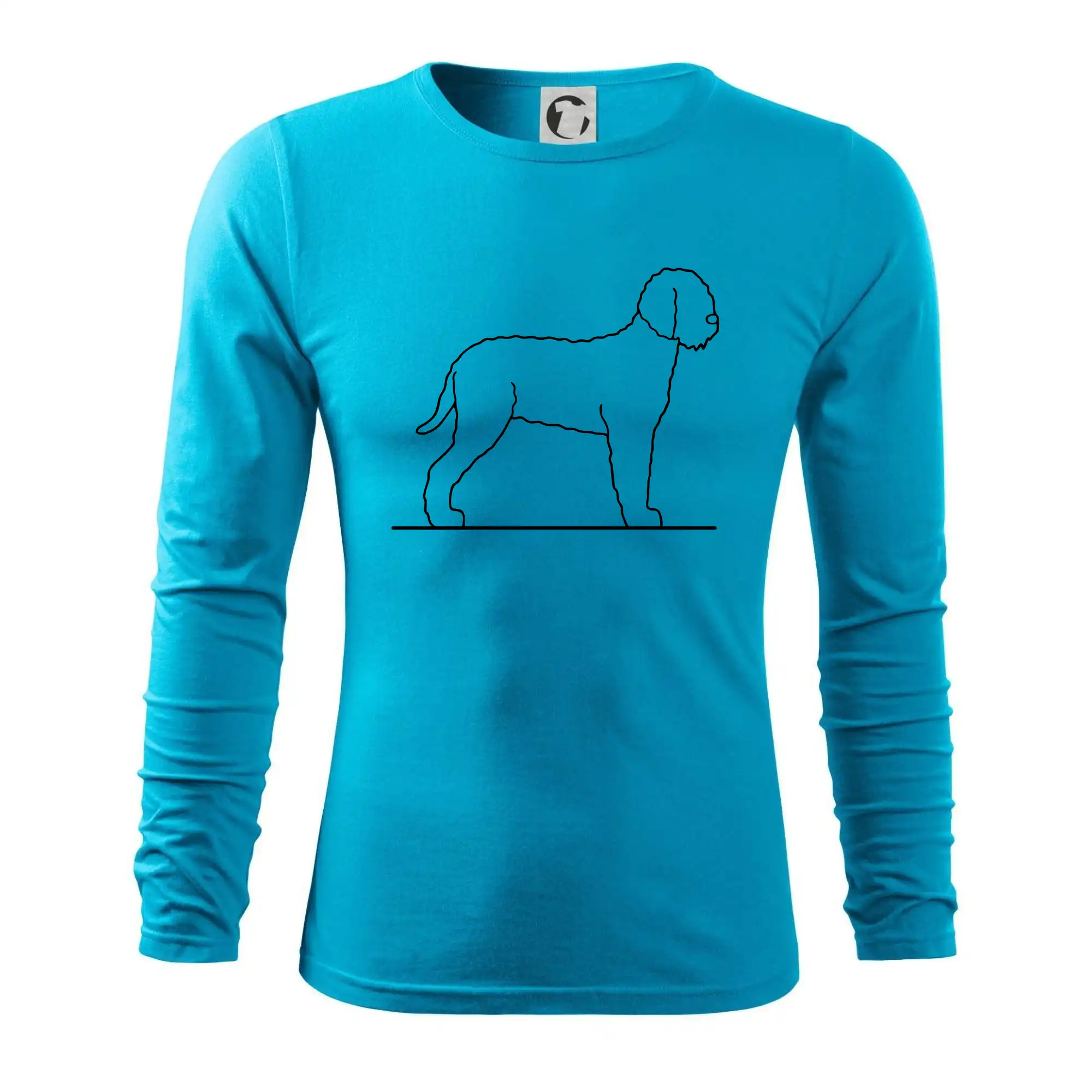 Lagotto romagnolo stojící