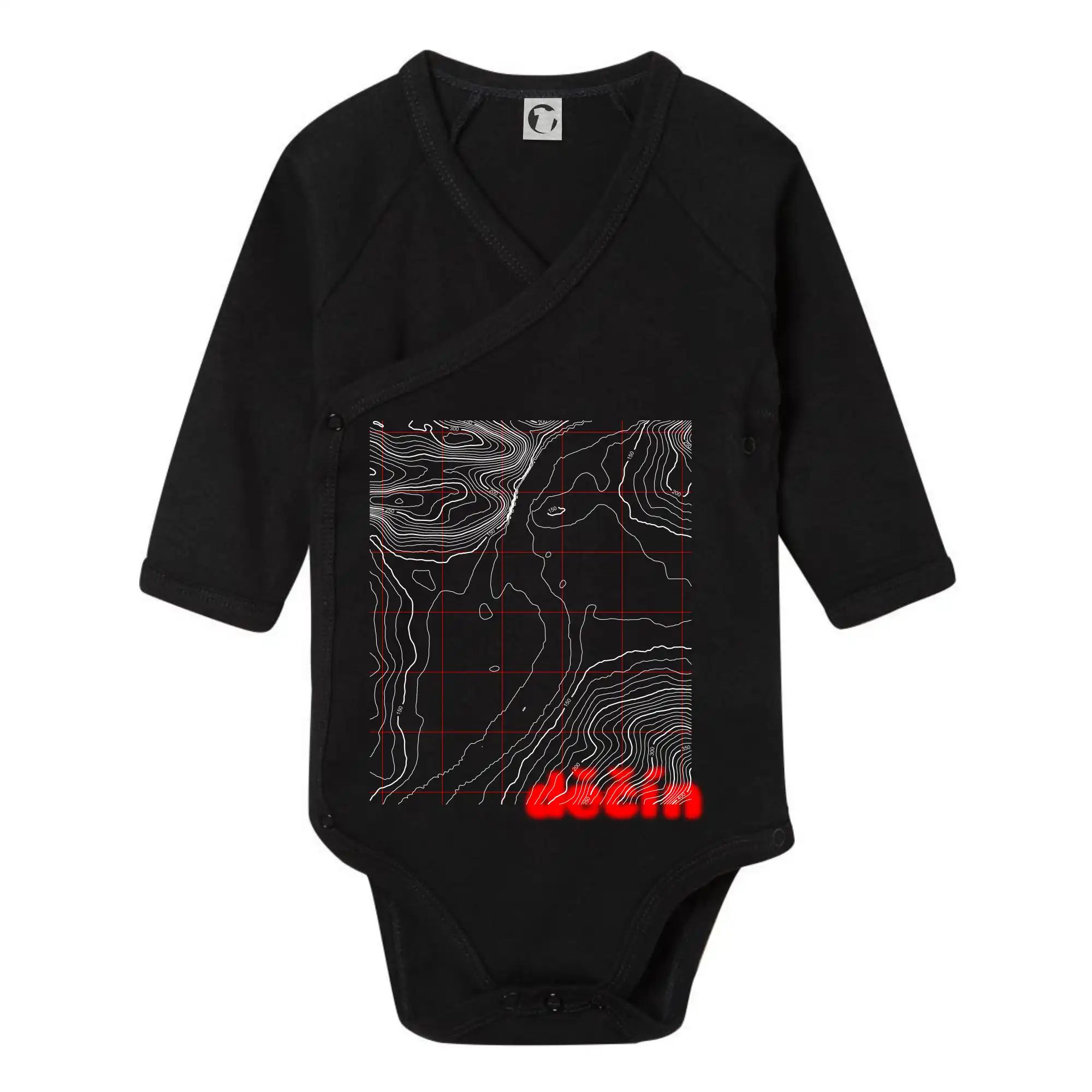 Děčín - Vrstevnice měst