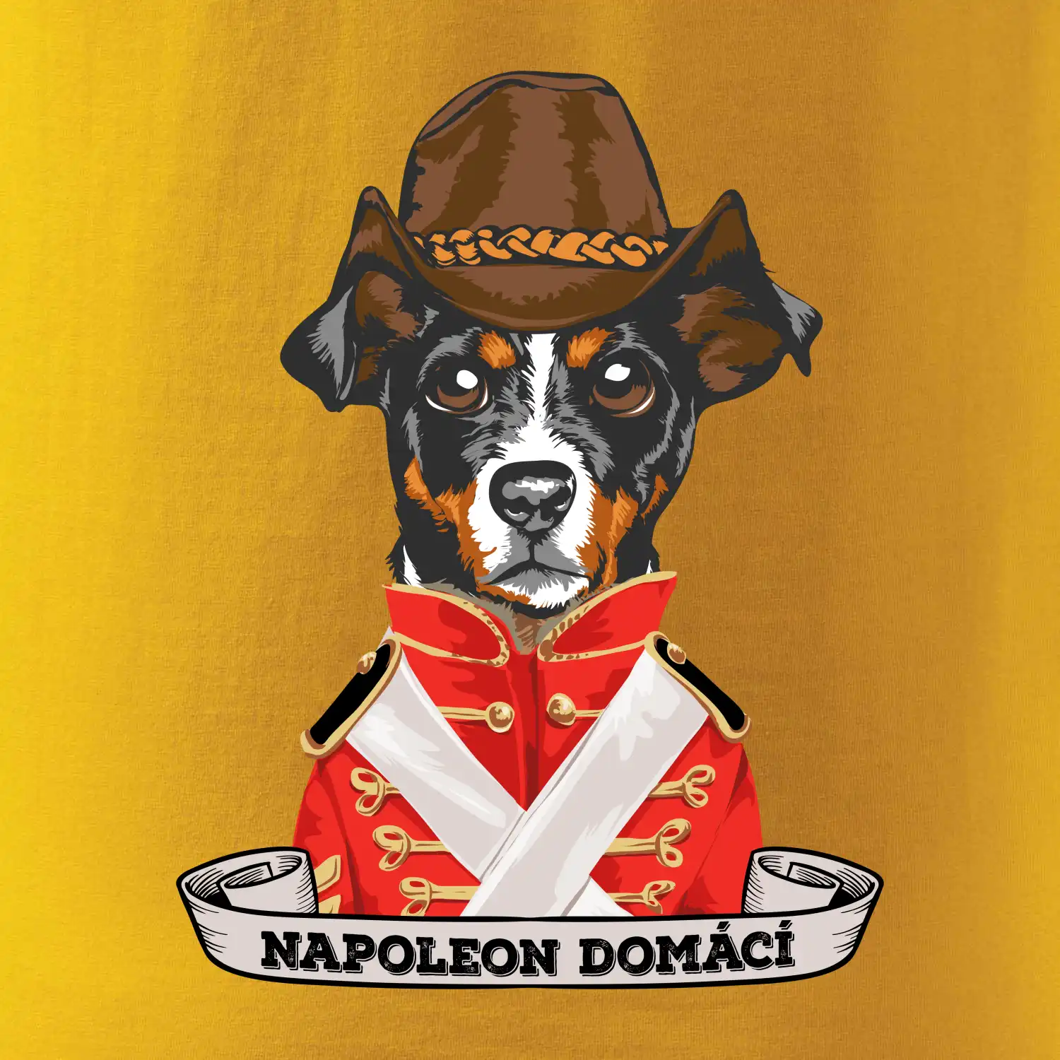 Napoleon domácí pes kříženec