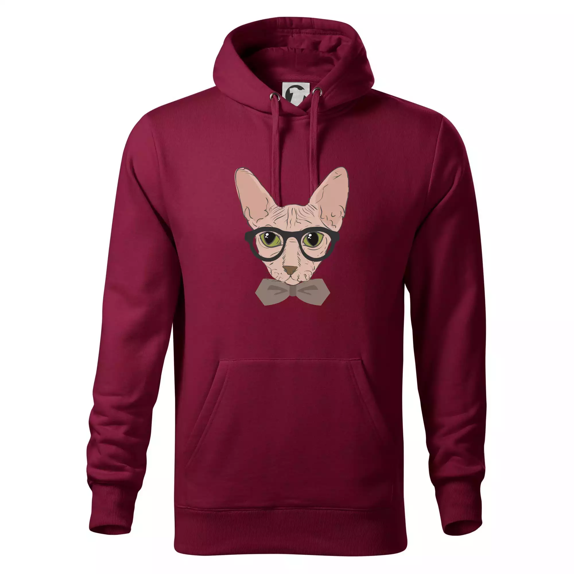 Hipster sphynx