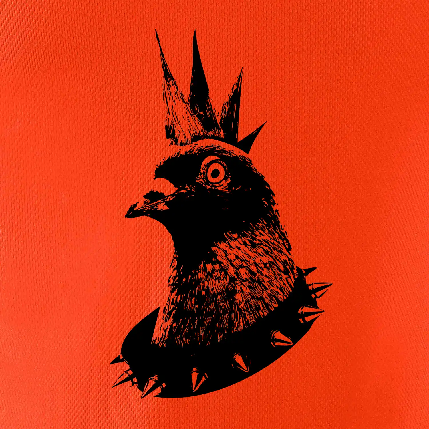 Holub punk