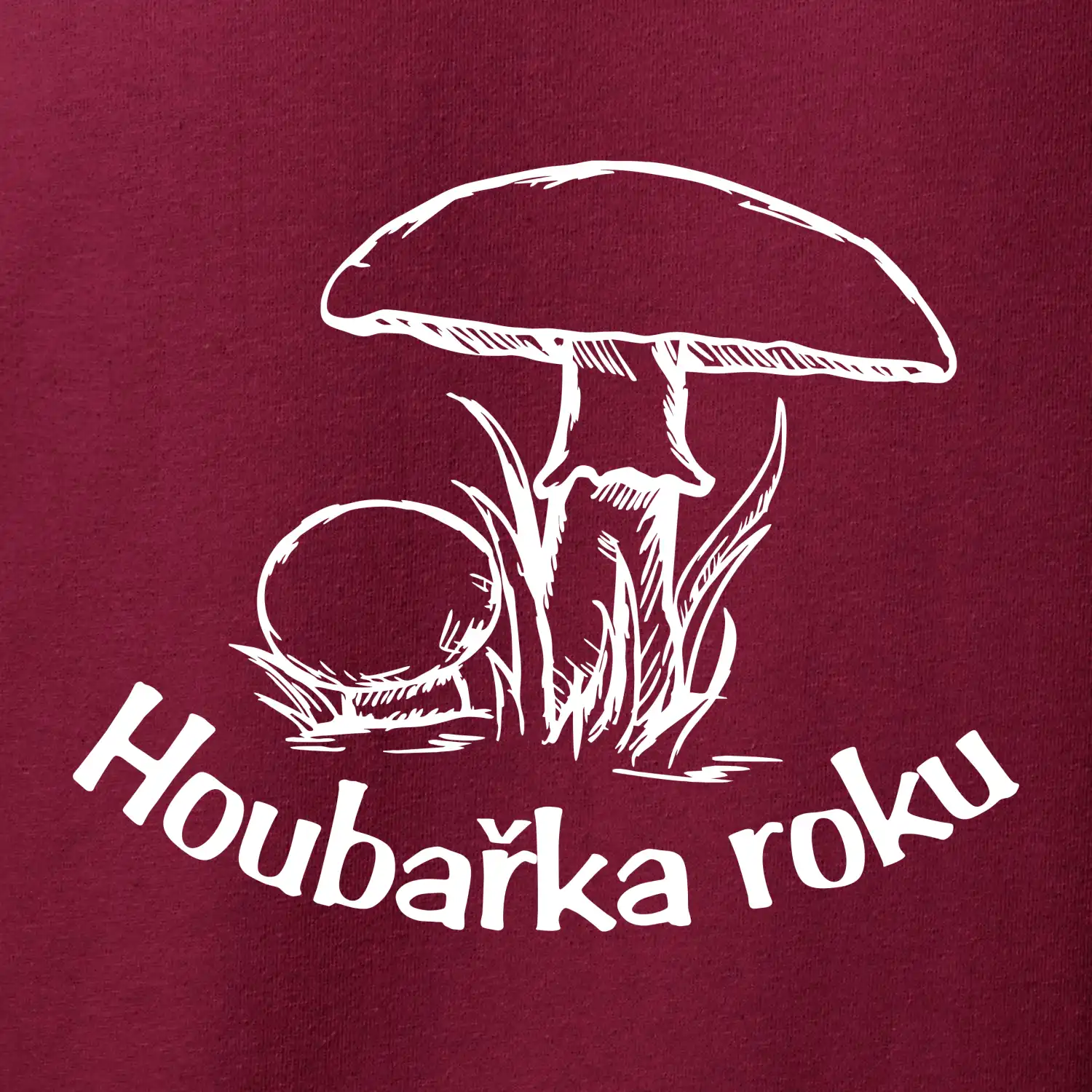 Houbař roku