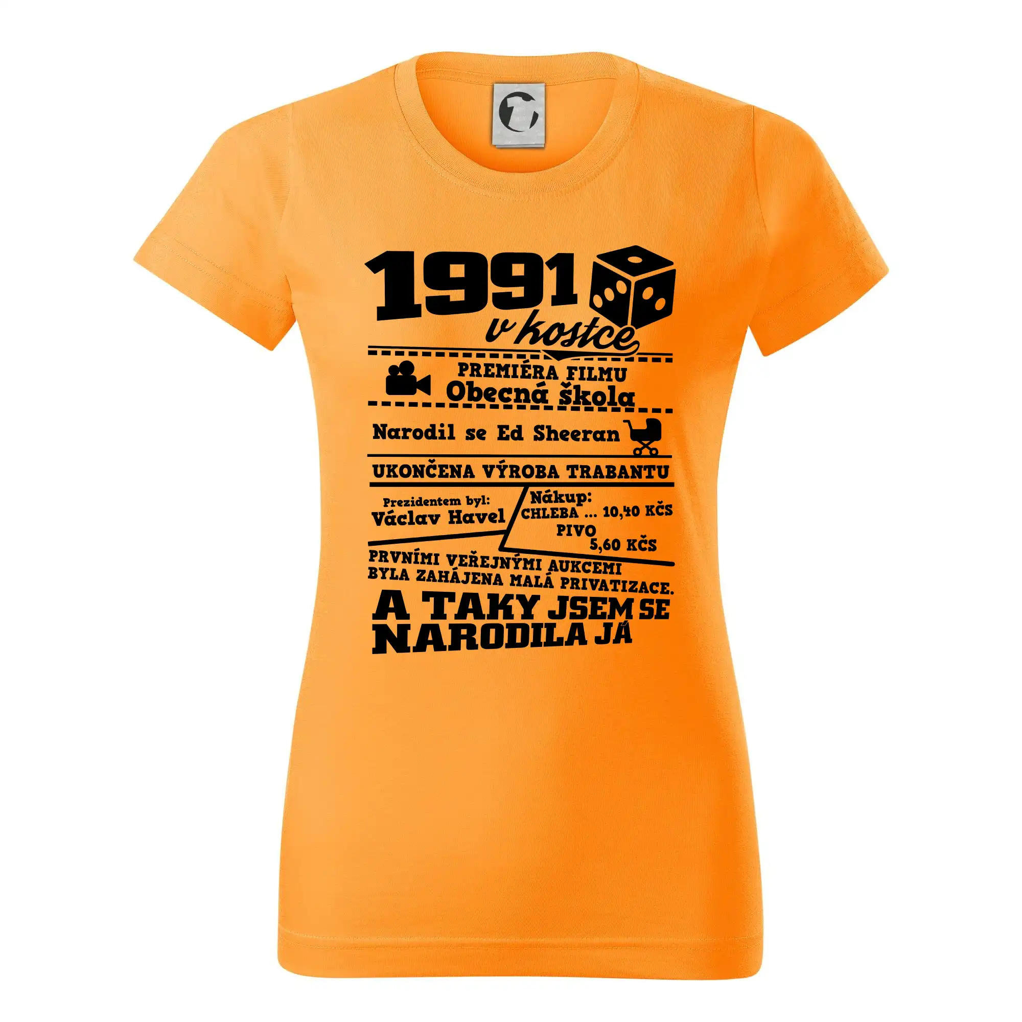 1991 v kostce