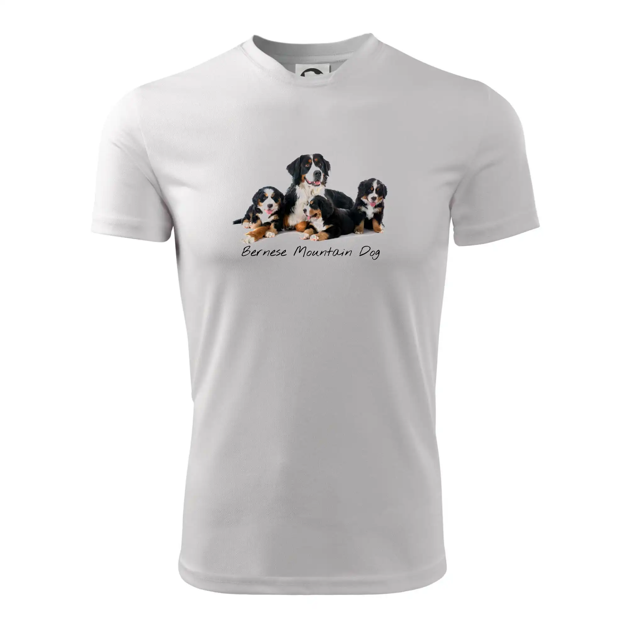 Bernese mountain dog celá rodina