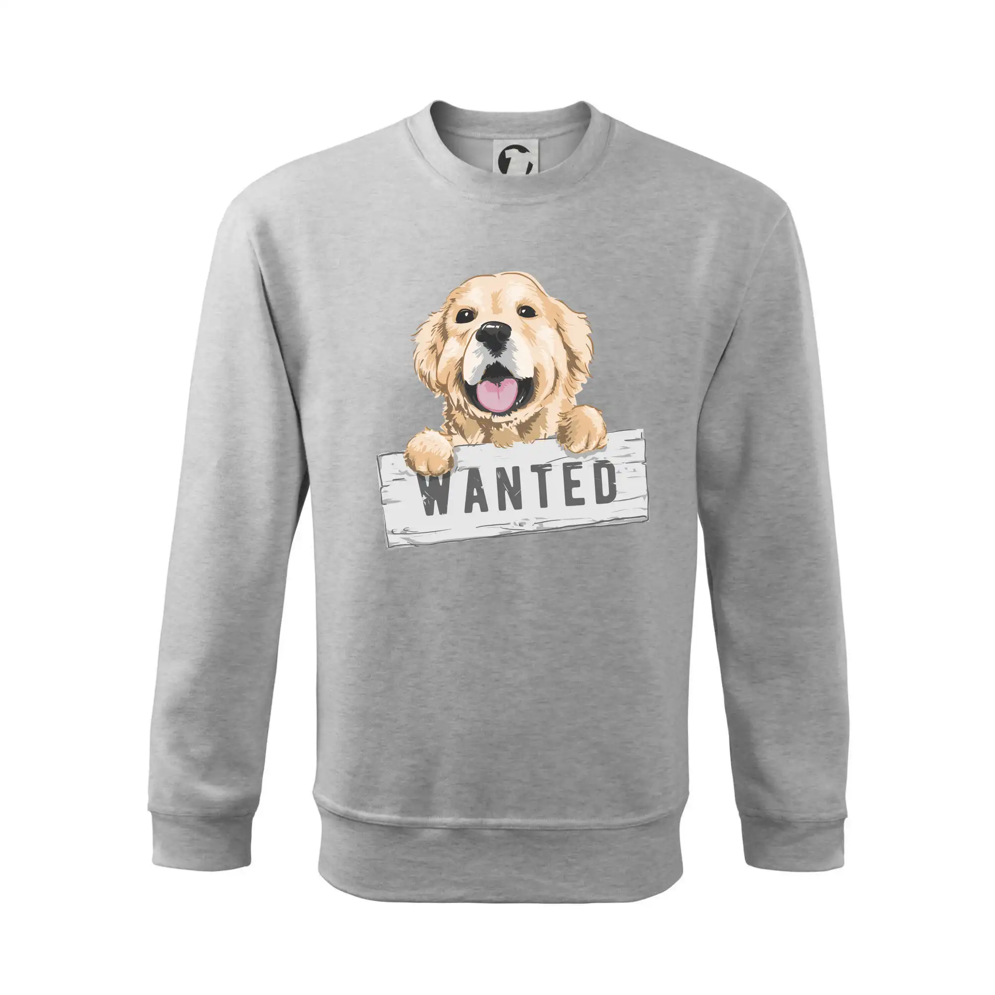 Zlatý retriever - štěně wanted