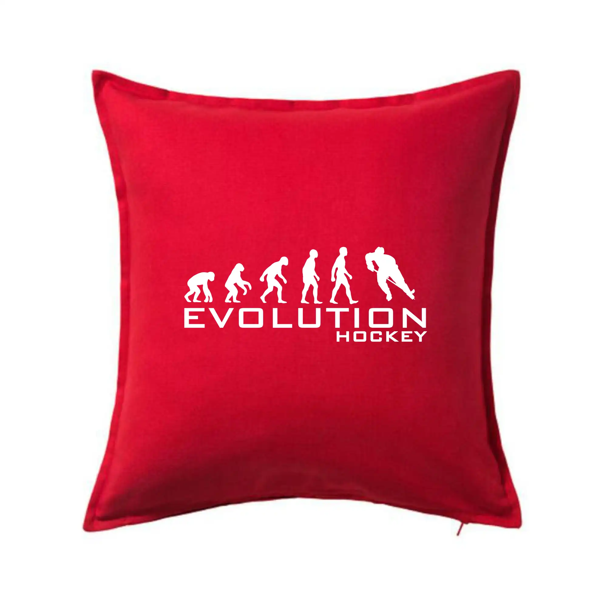 Evoluce Hockey - hráč