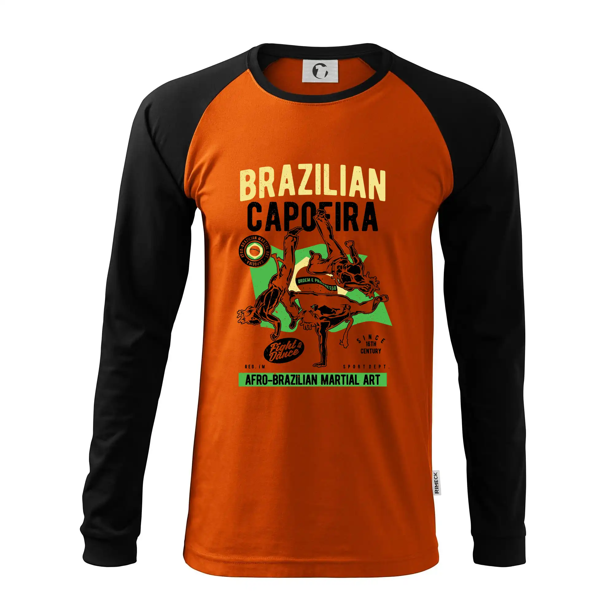 Brazilian Capoeira
