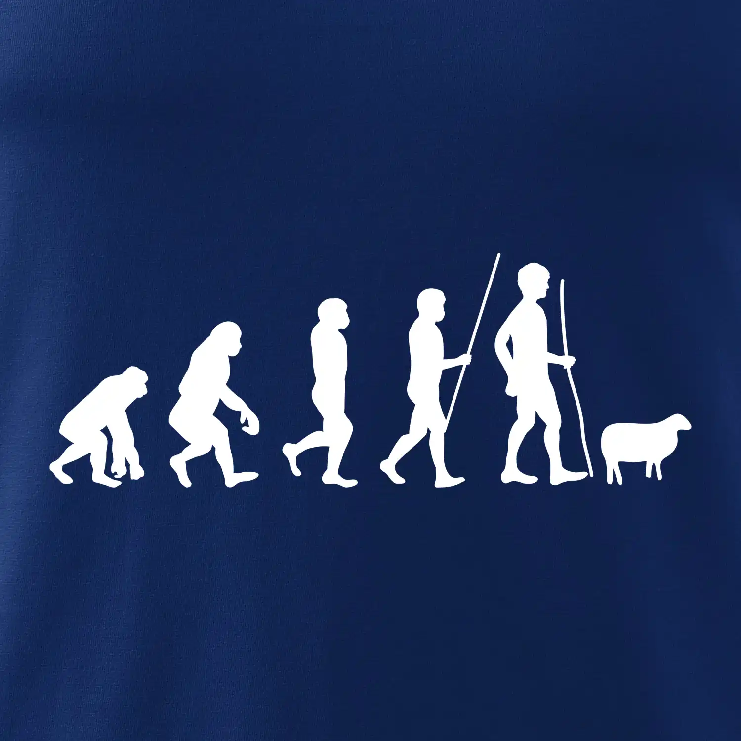 Evoluce pastevec ovcí
