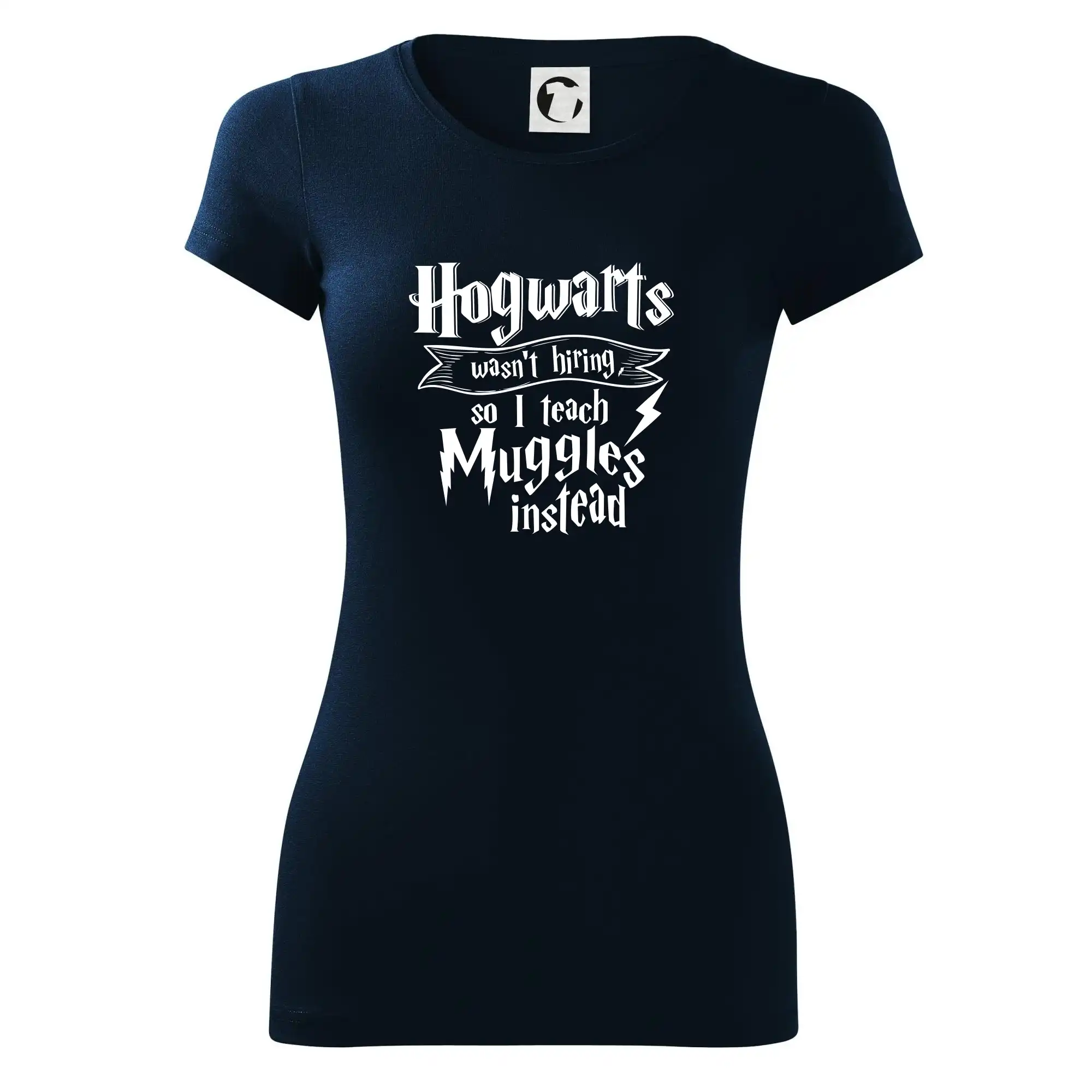 Harry - Hogwarts wasn’t hiring, so I teach Muggles instead