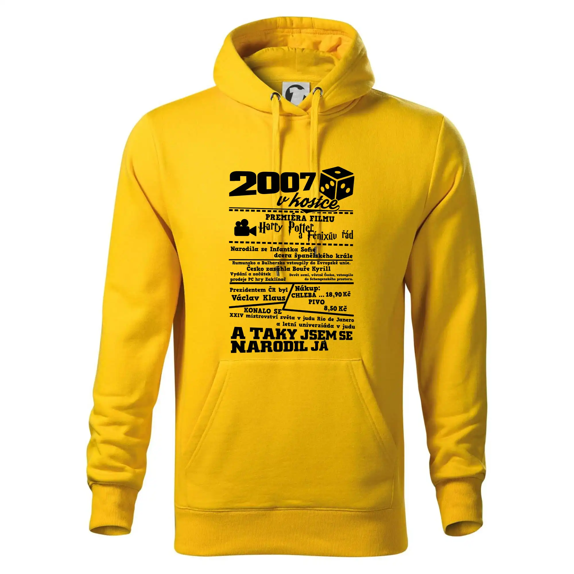 2007 v kostce