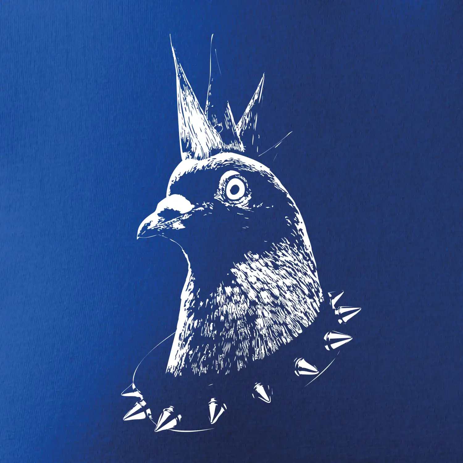 Holub punk
