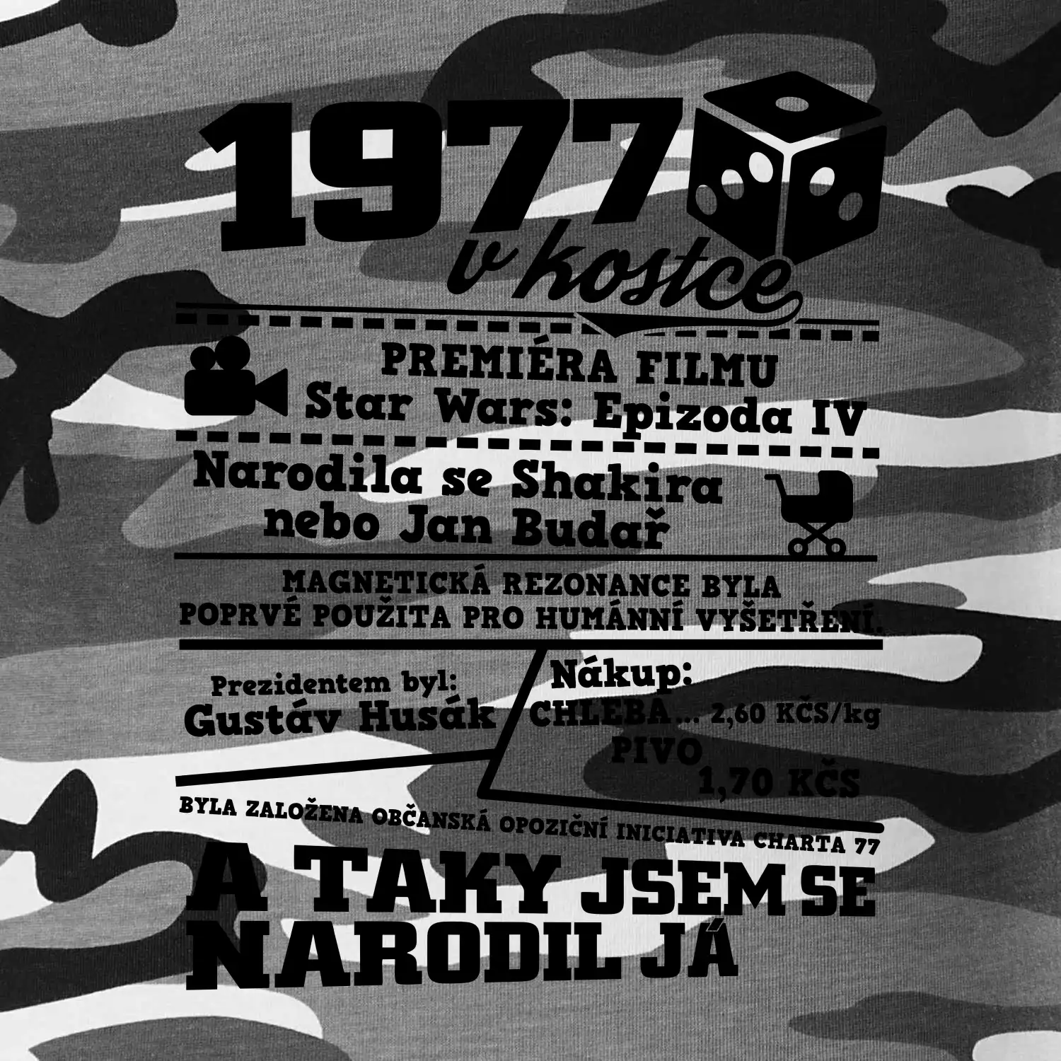 1977 v kostce