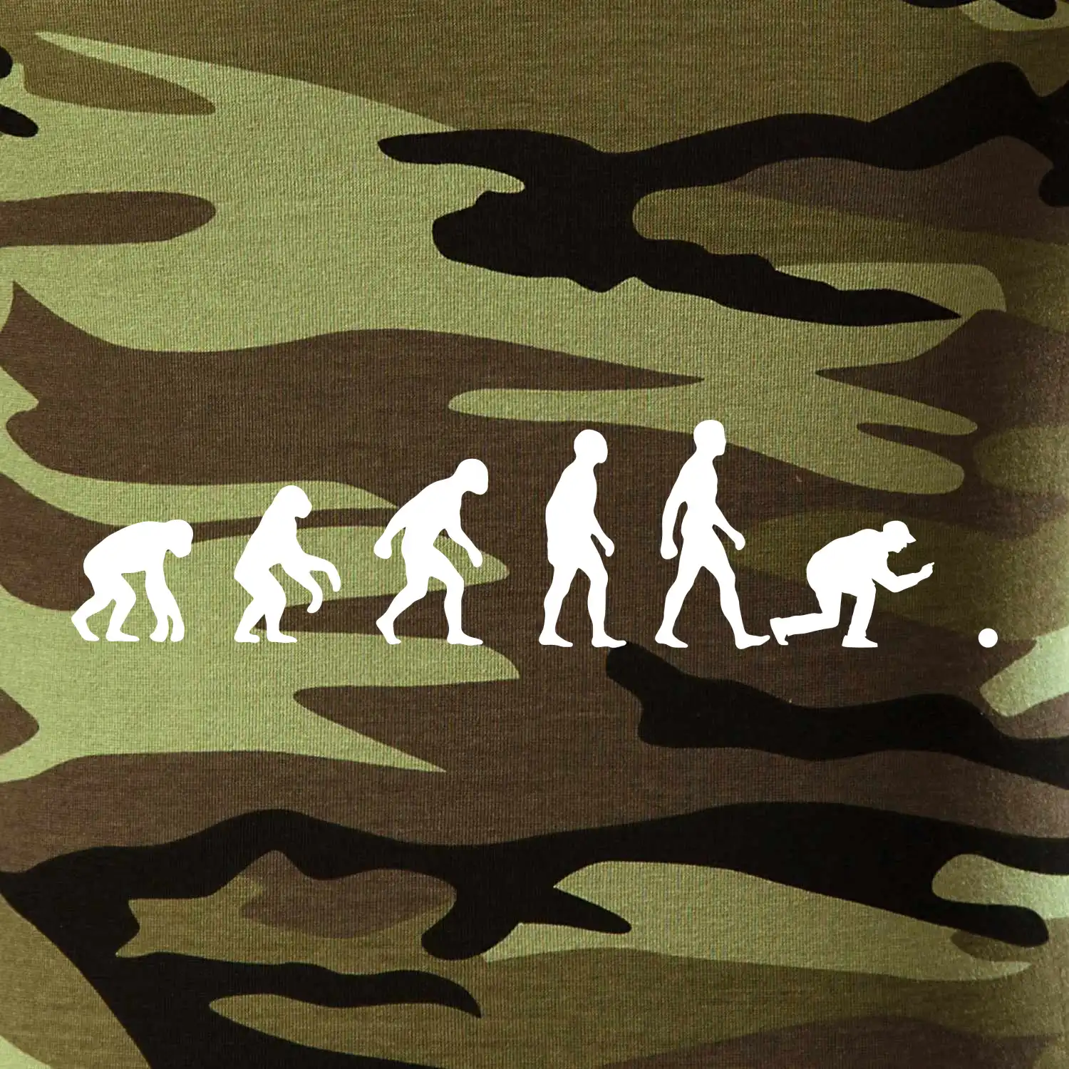 Evoluce petanque