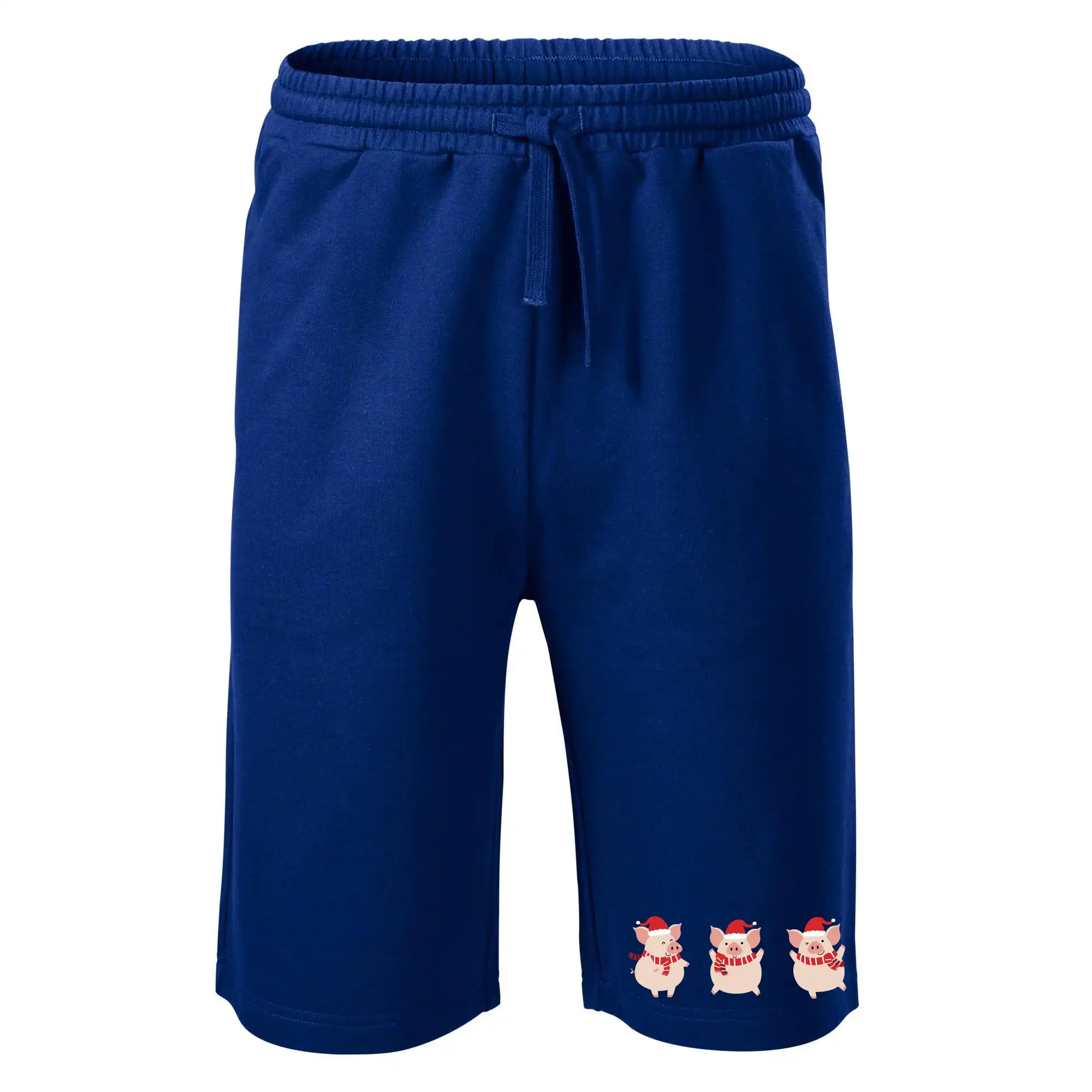 Vánoční prasátka