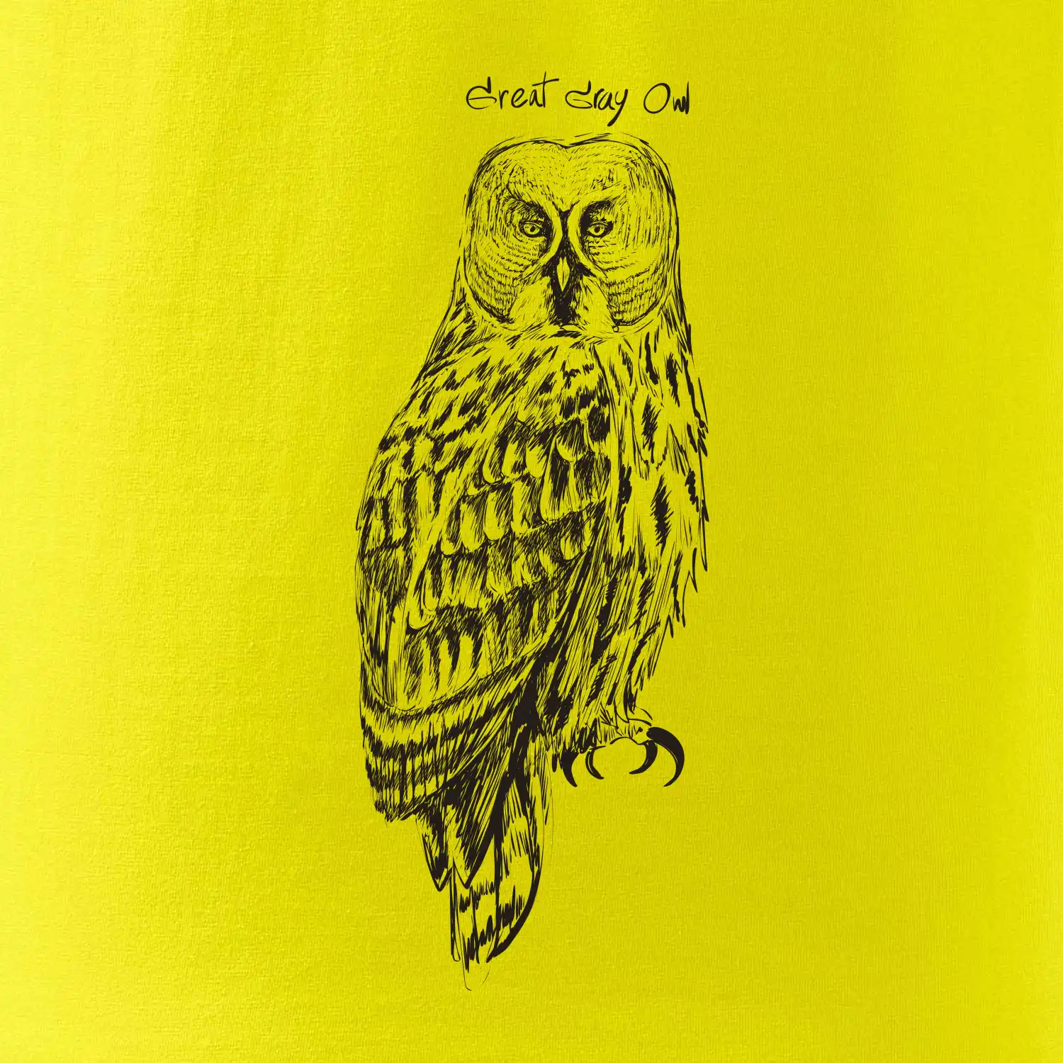 Puštík vousatý great gray owl