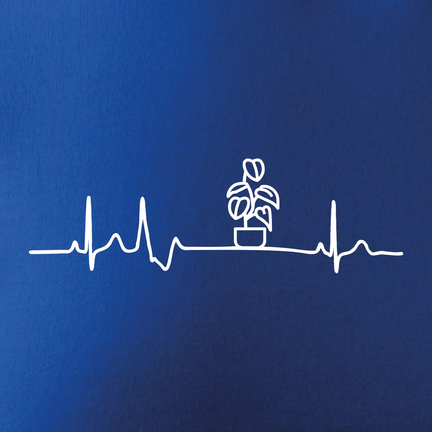EKG Filodendron