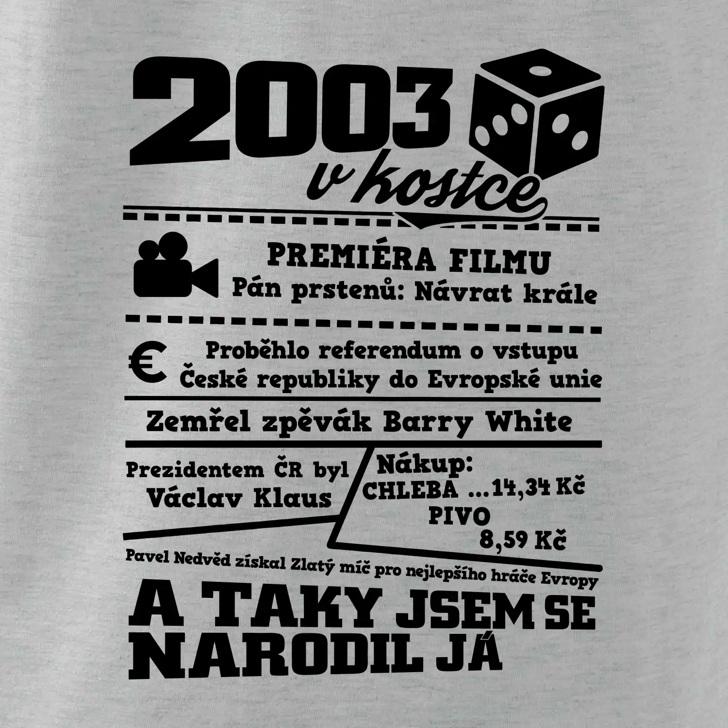 2003 v kostce