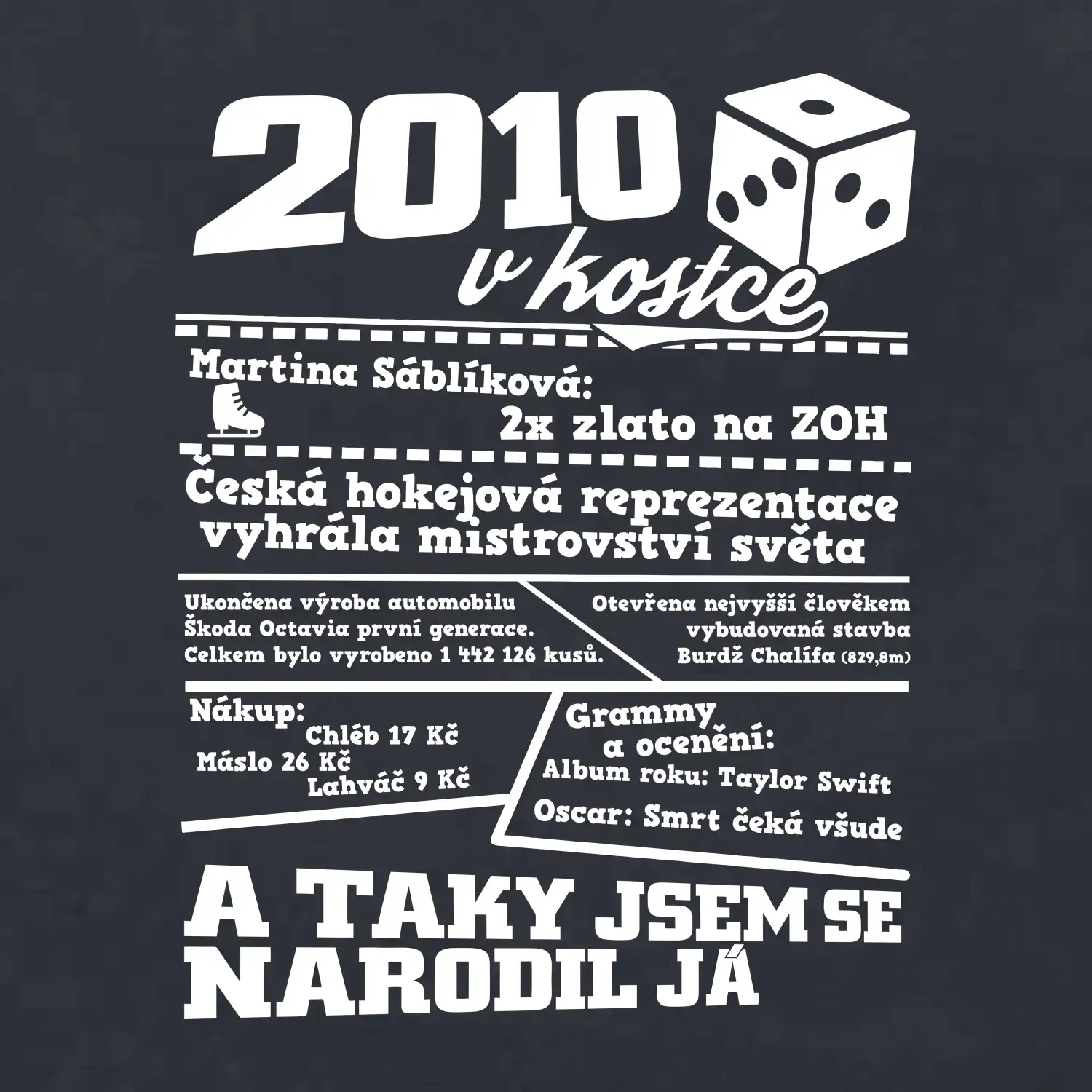 2010 v kostce
