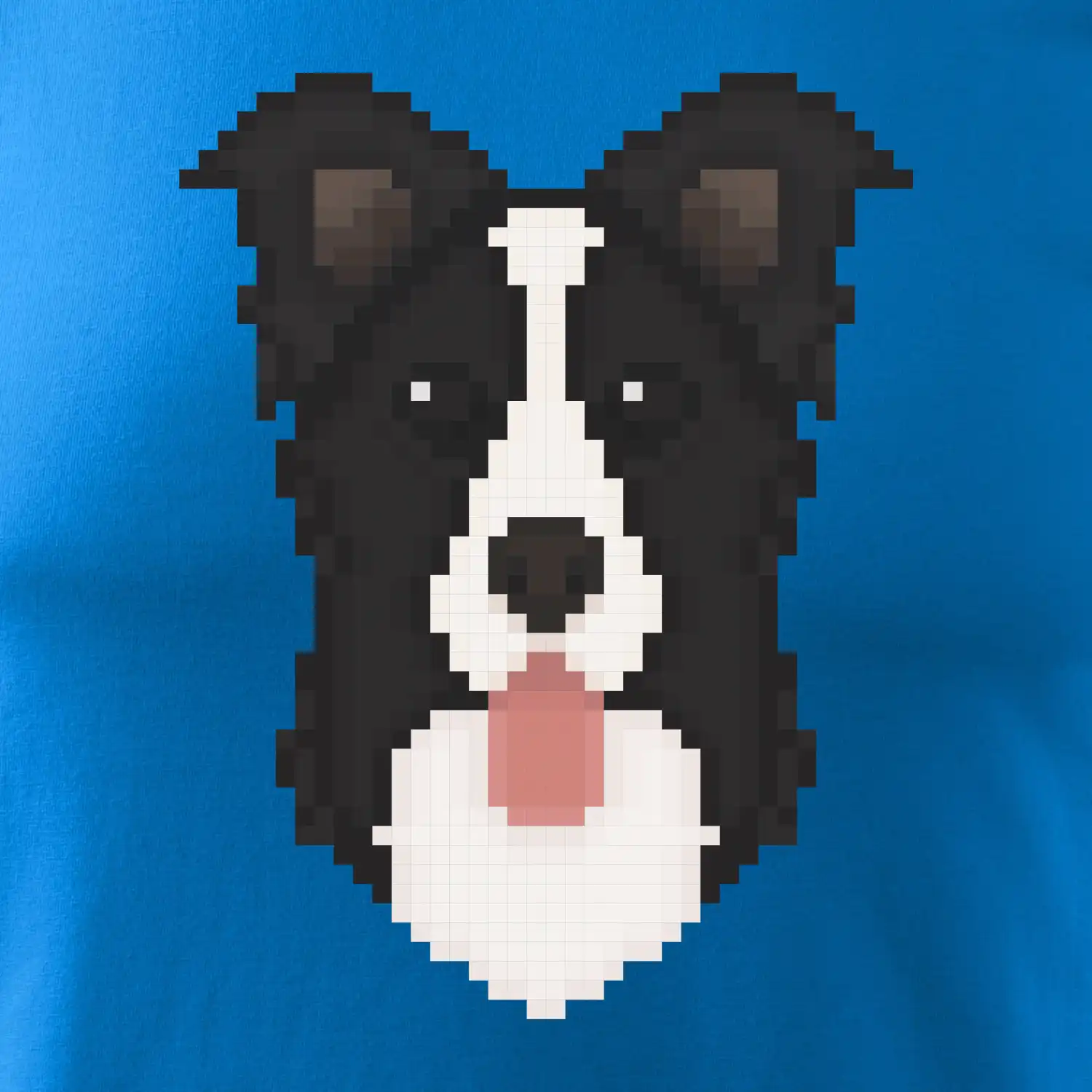 Border kolie Pixel