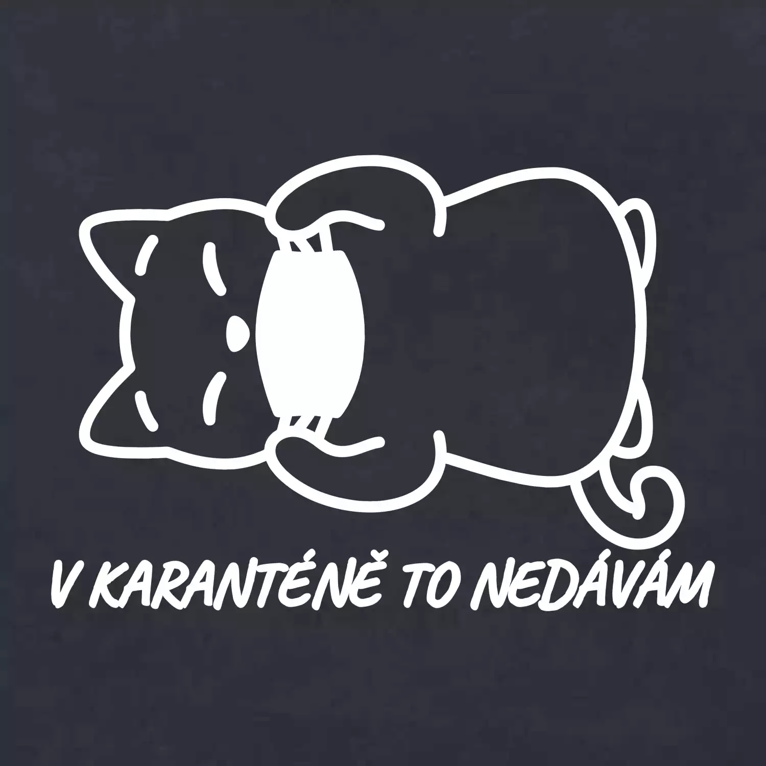 V karanténě to nedávám