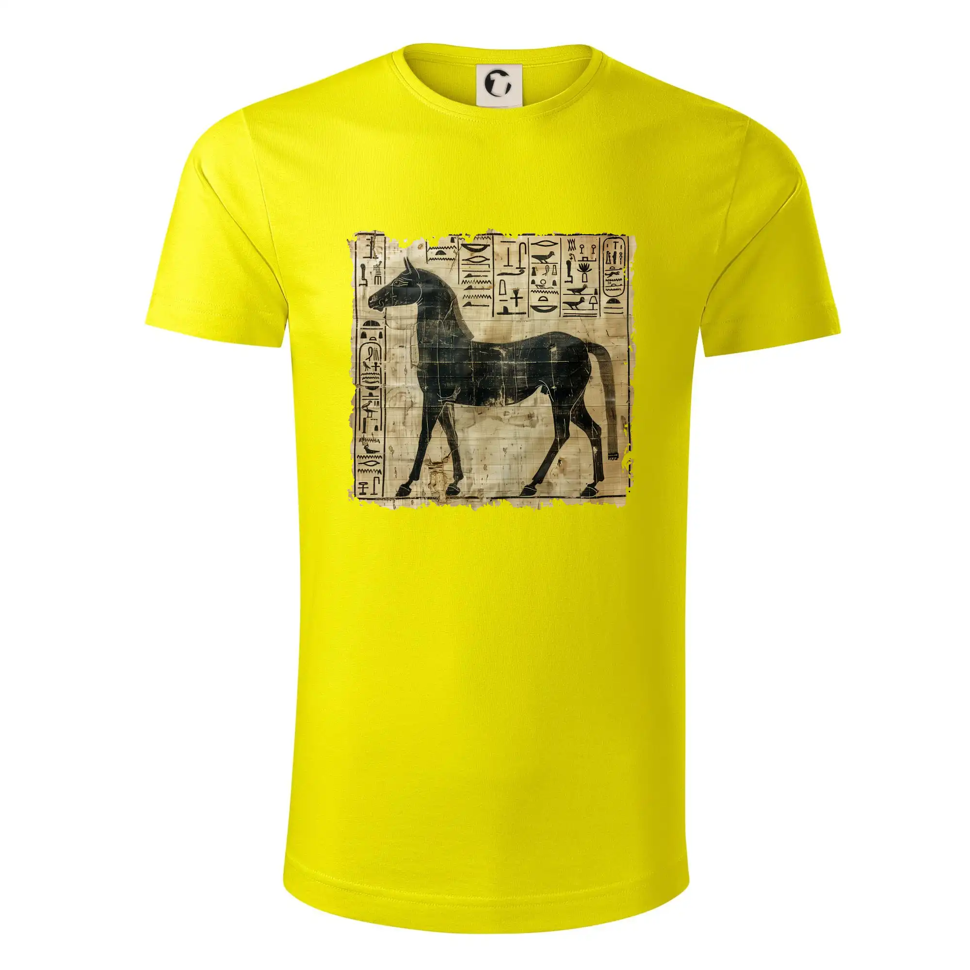 Egyptské hieroglyfy kůň