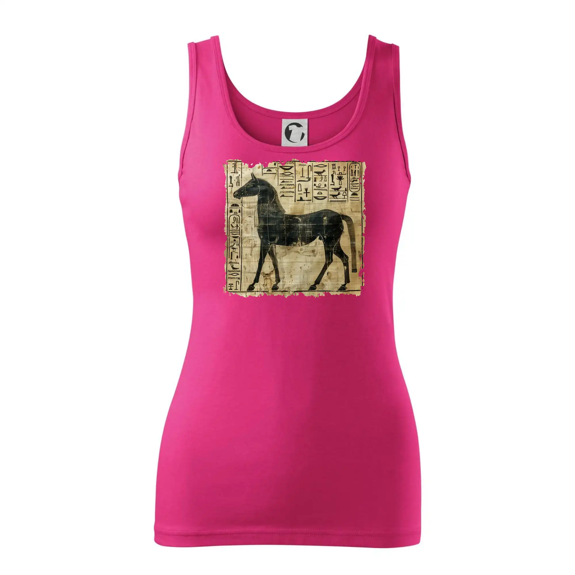 Egyptské hieroglyfy kůň