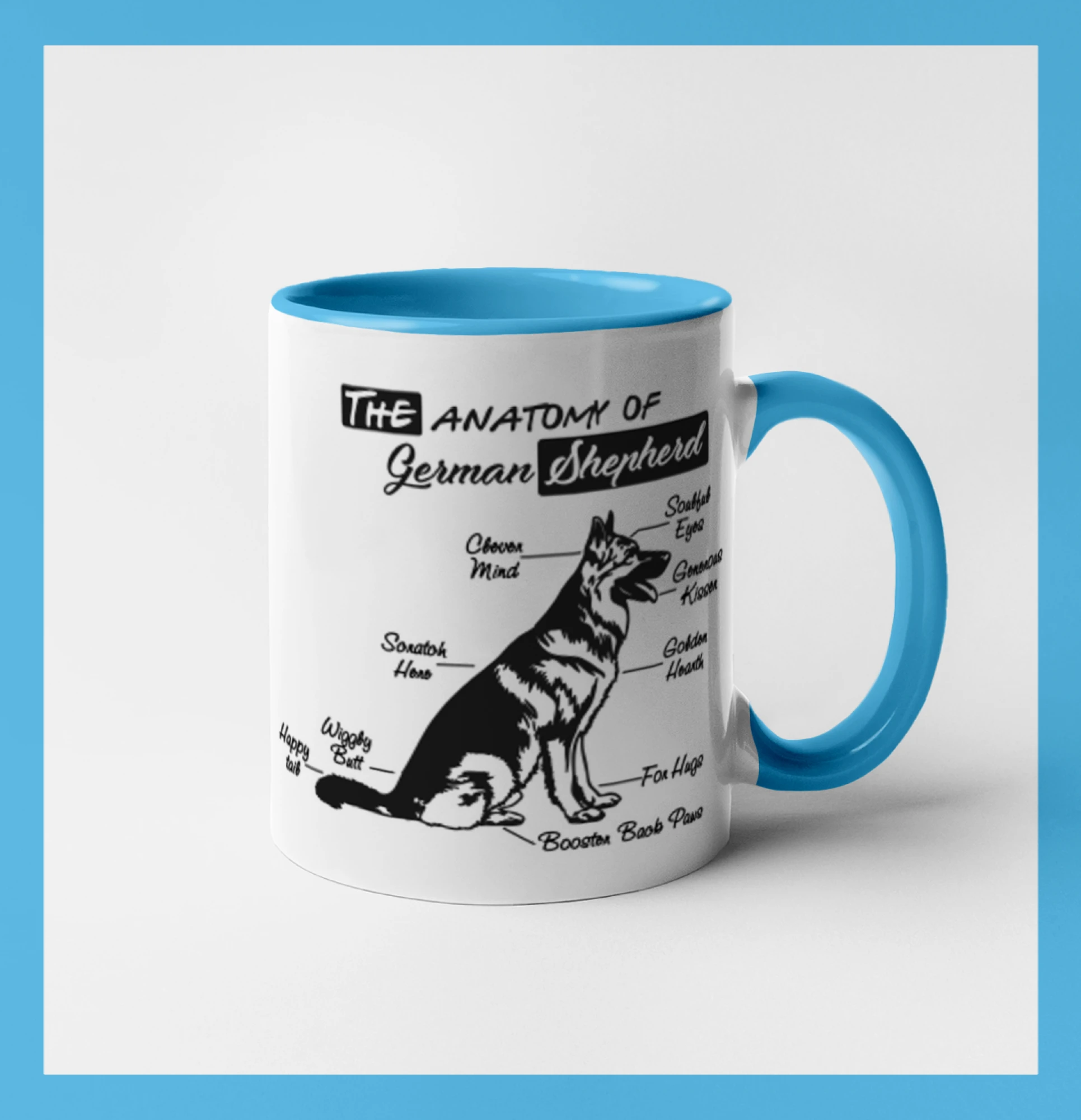 Německý ovčák - Anatomie