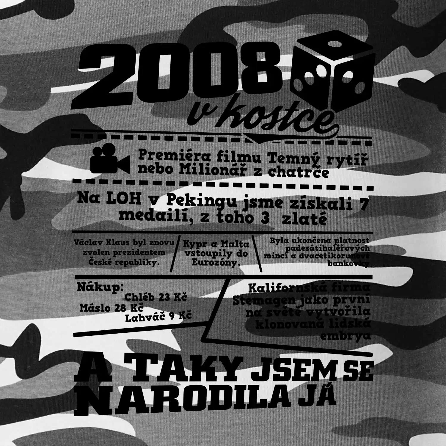 2008 v kostce