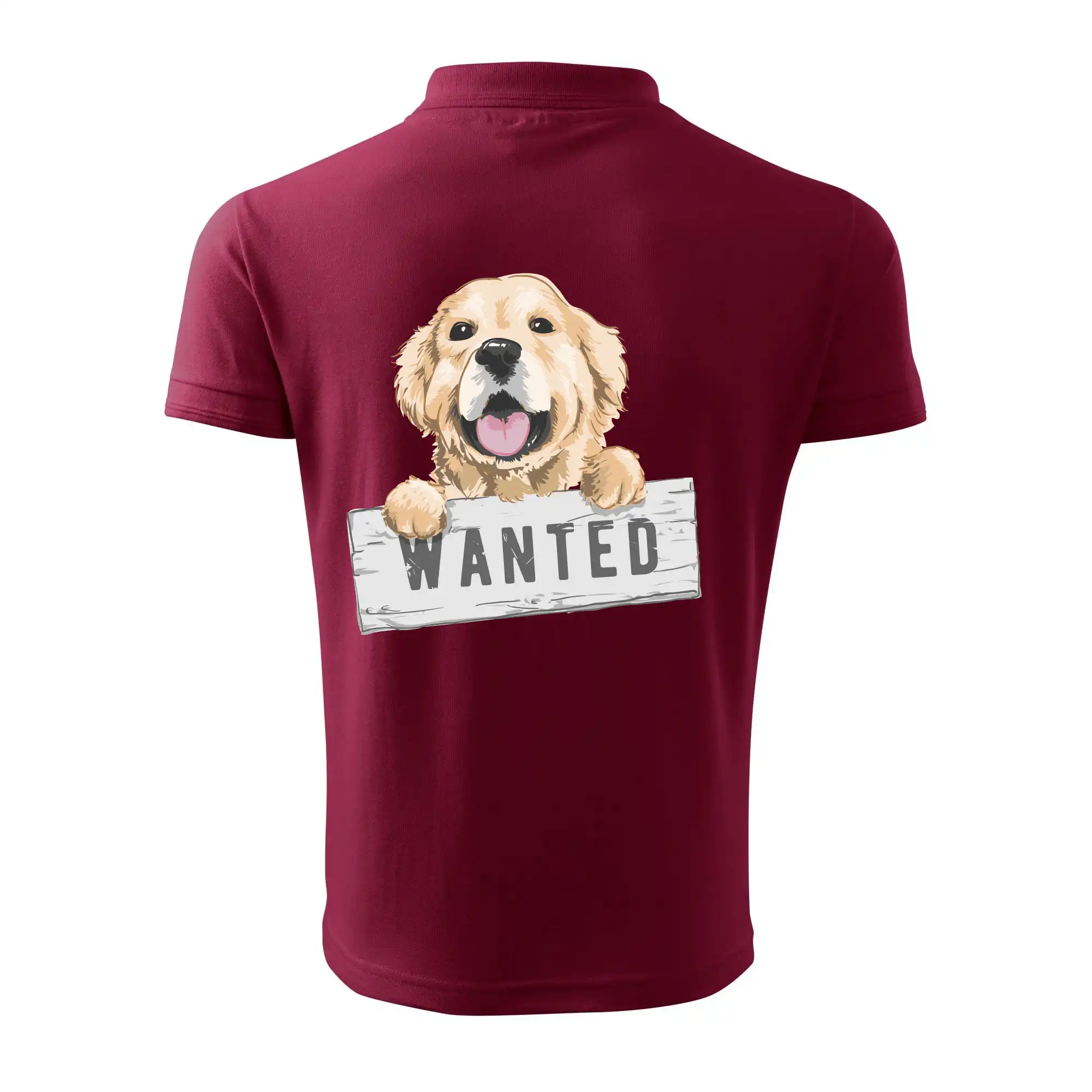 Zlatý retriever - štěně wanted
