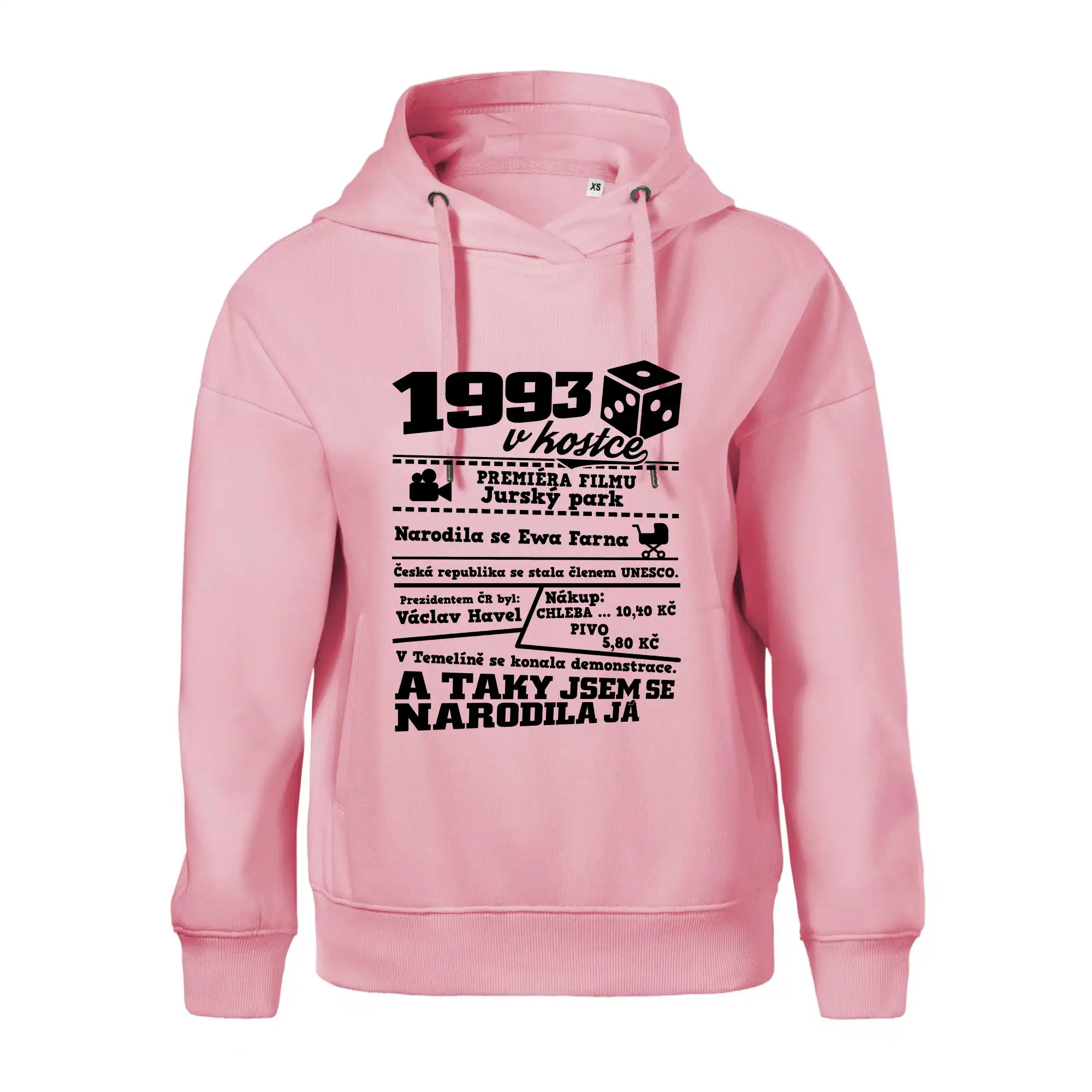 1993 v kostce