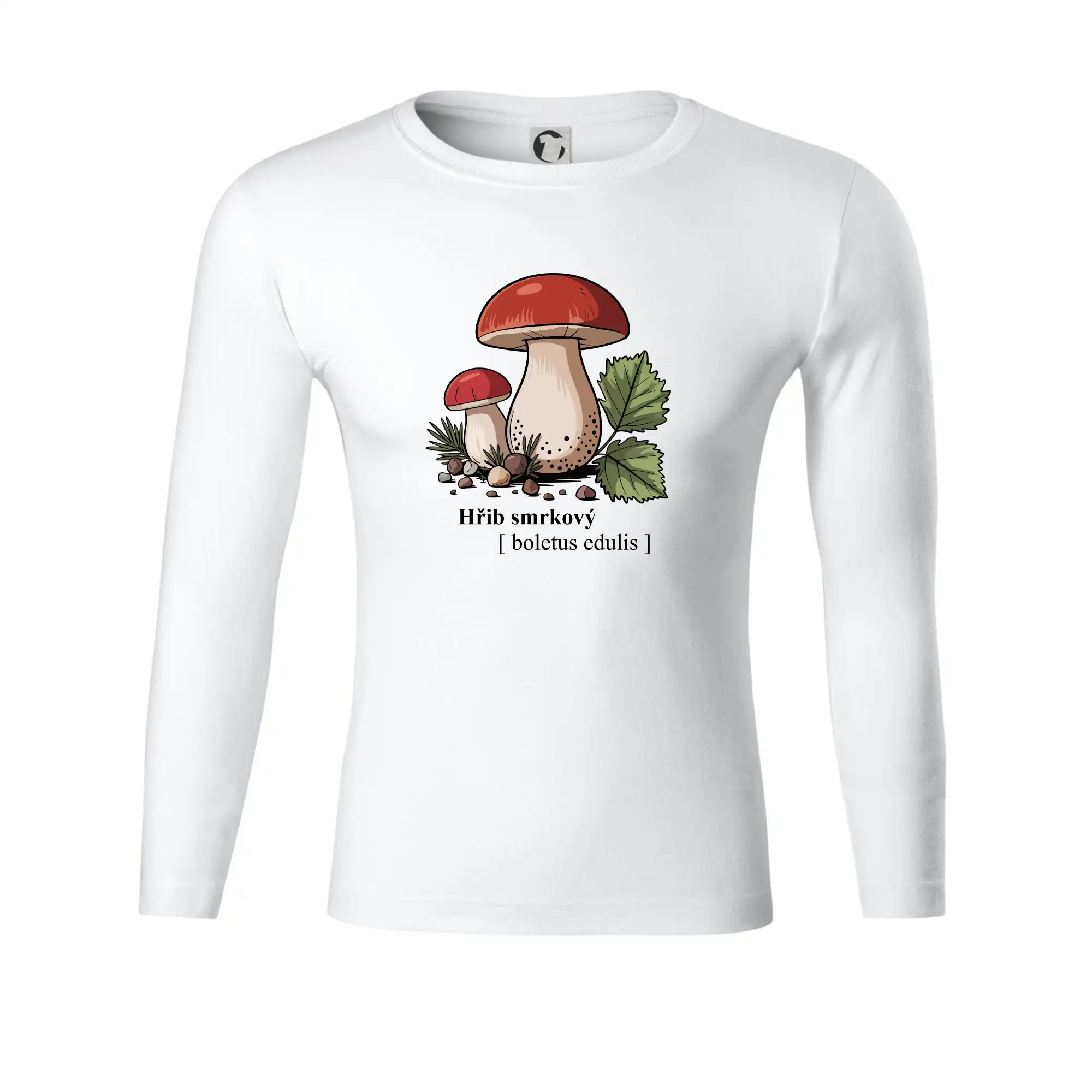 Hřib smrkový - Boletus edulis kreslený
