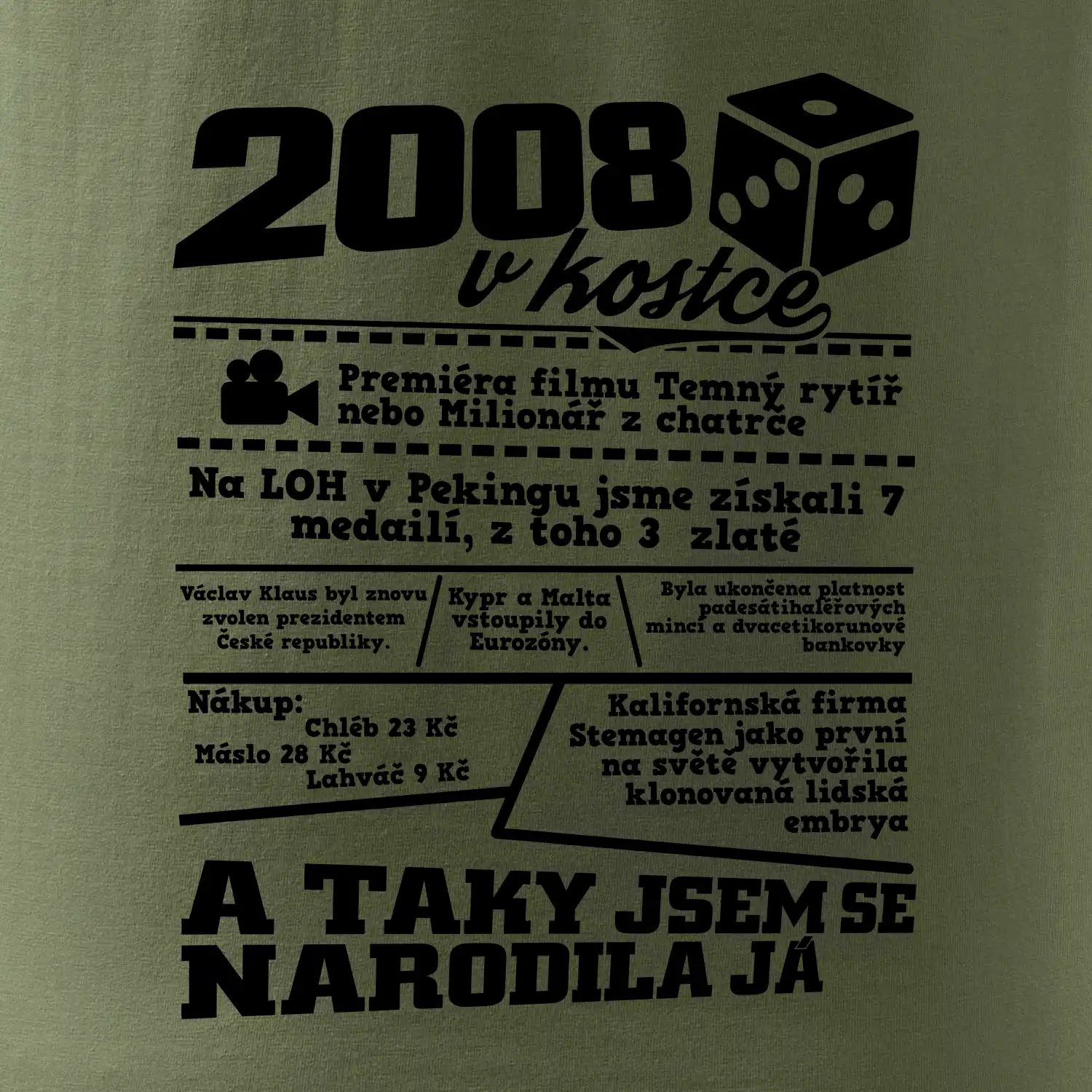 2008 v kostce