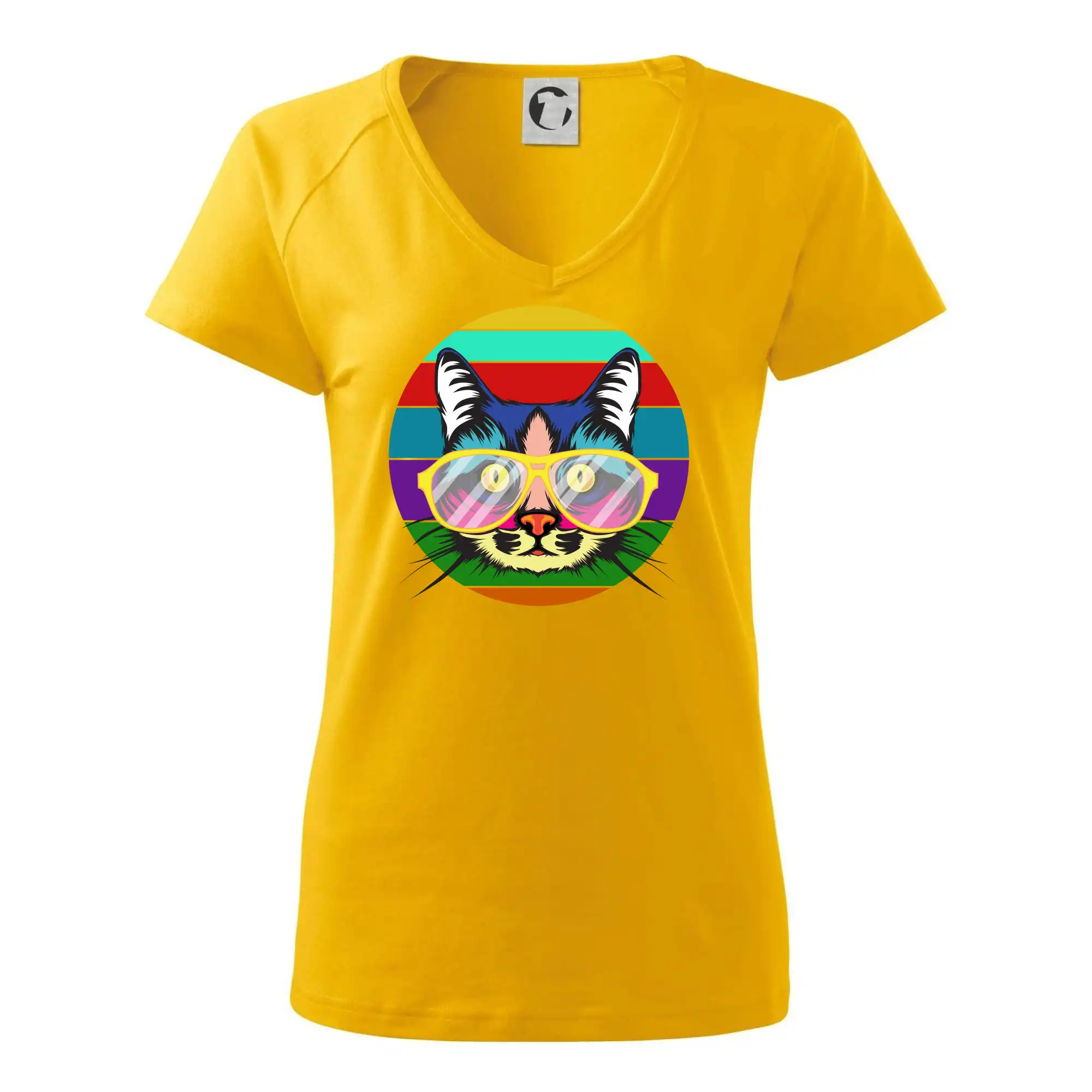 Kočka při barevném západu