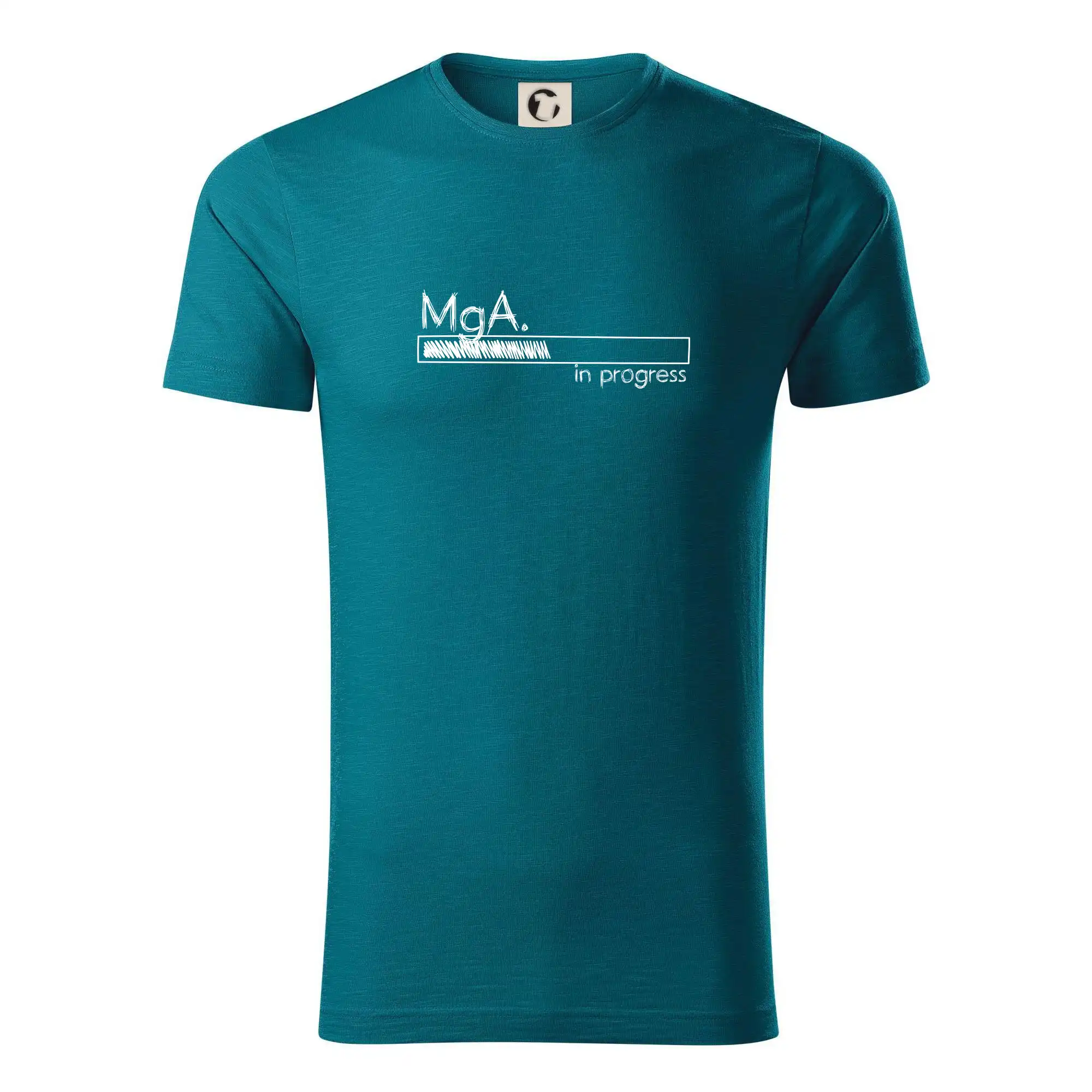 In progress titul MgA.  magistr / magistra umění