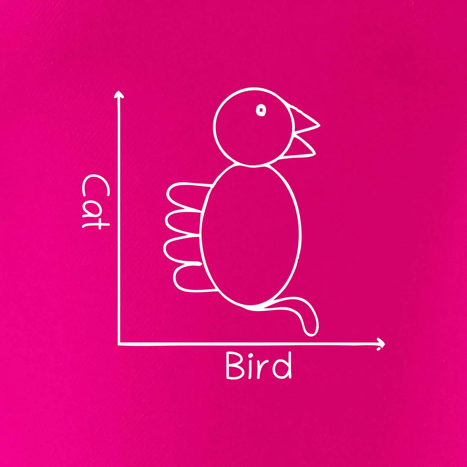 Cat bird diagram