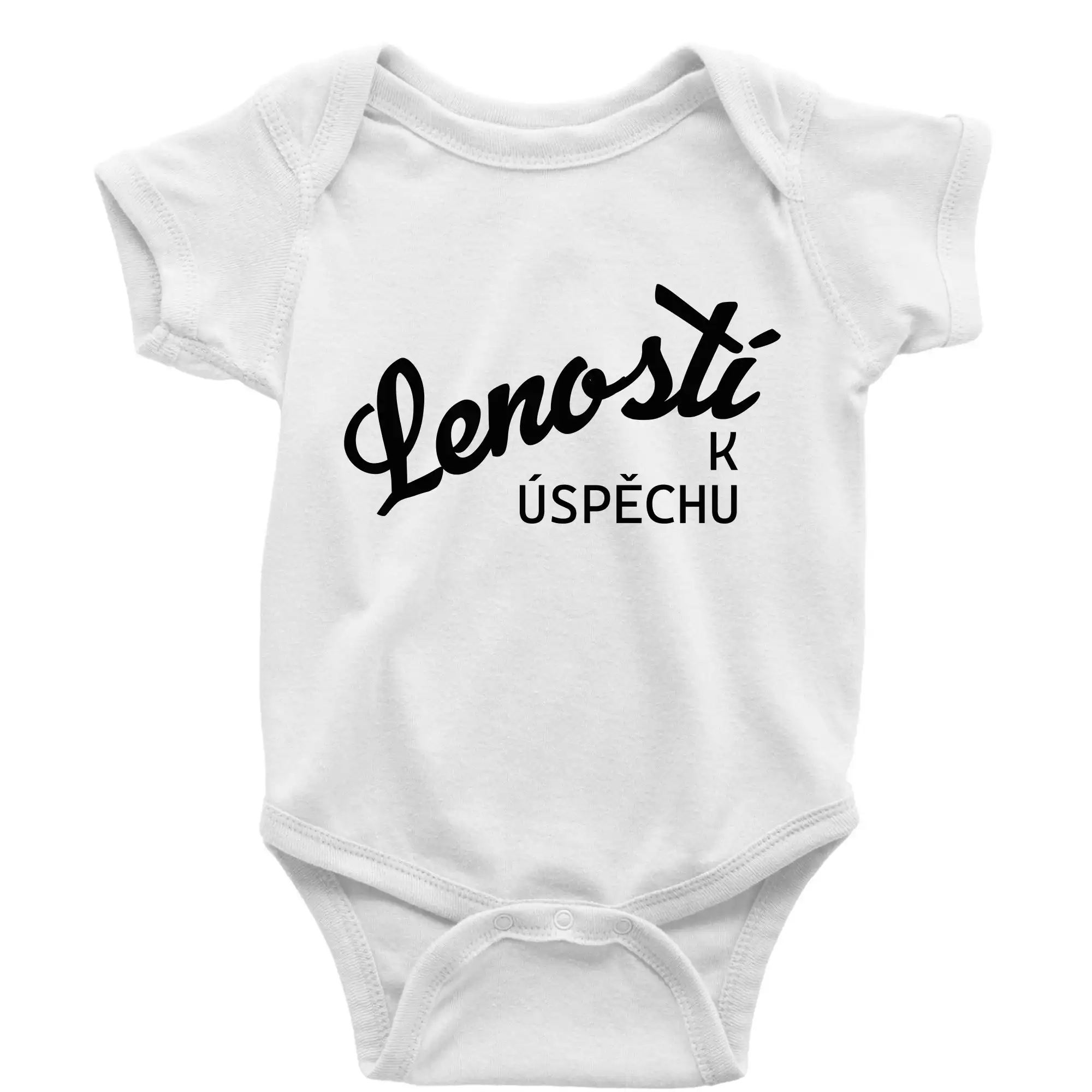 Leností k úspěchu - psací