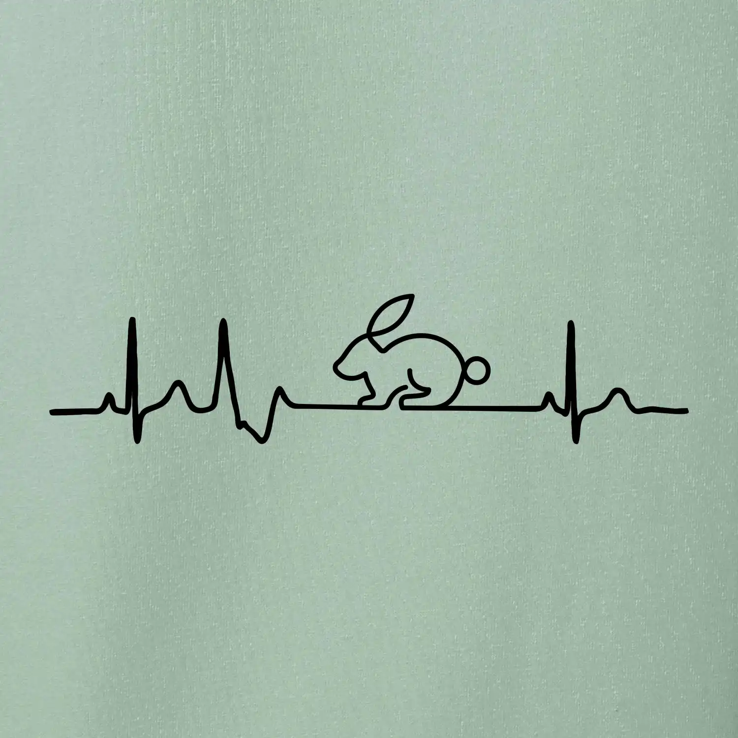 EKG králík