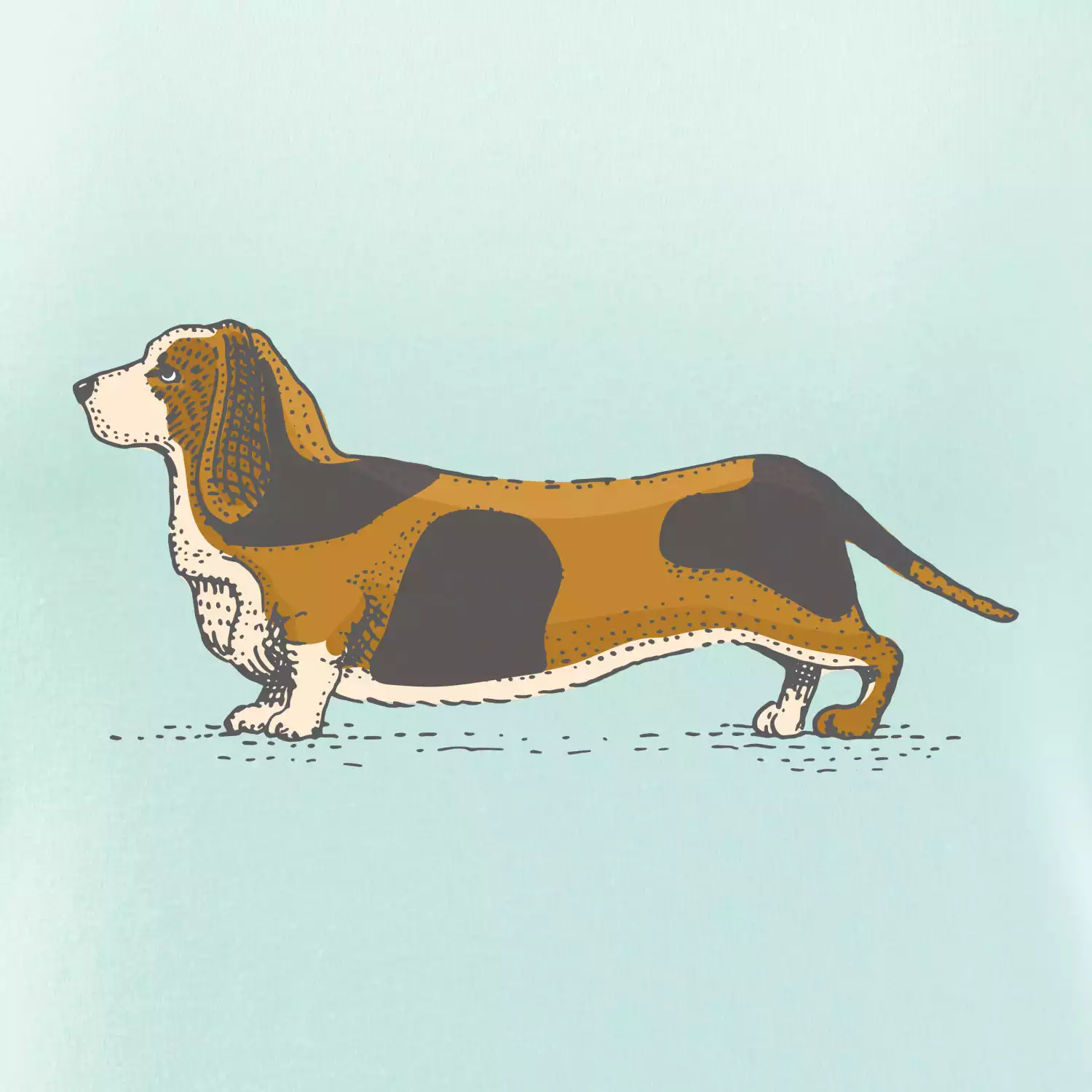 Vintage basset