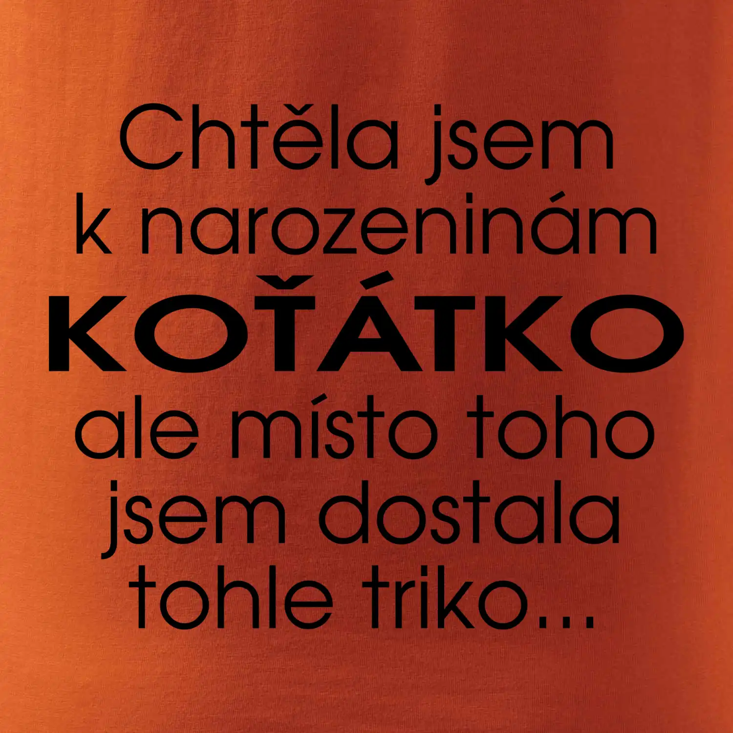 Chtěla jsem dostat k narozeninám koťátko