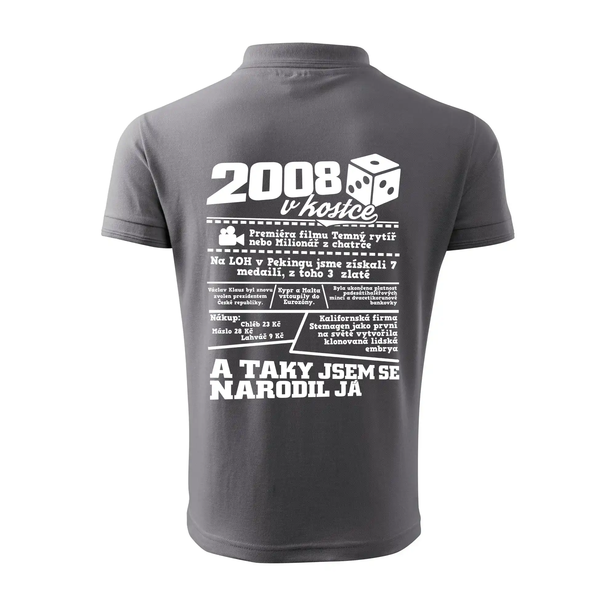 2008 v kostce