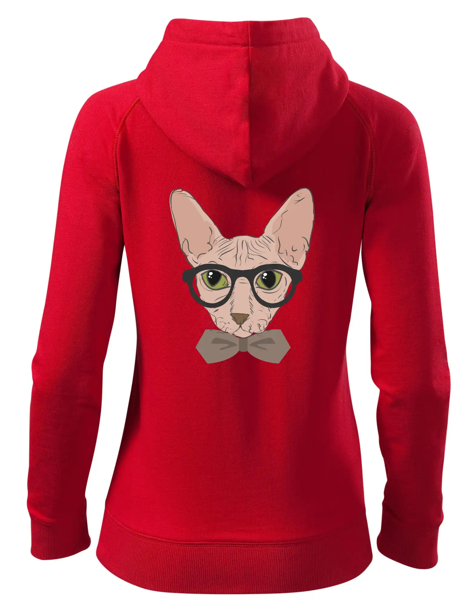 Hipster sphynx