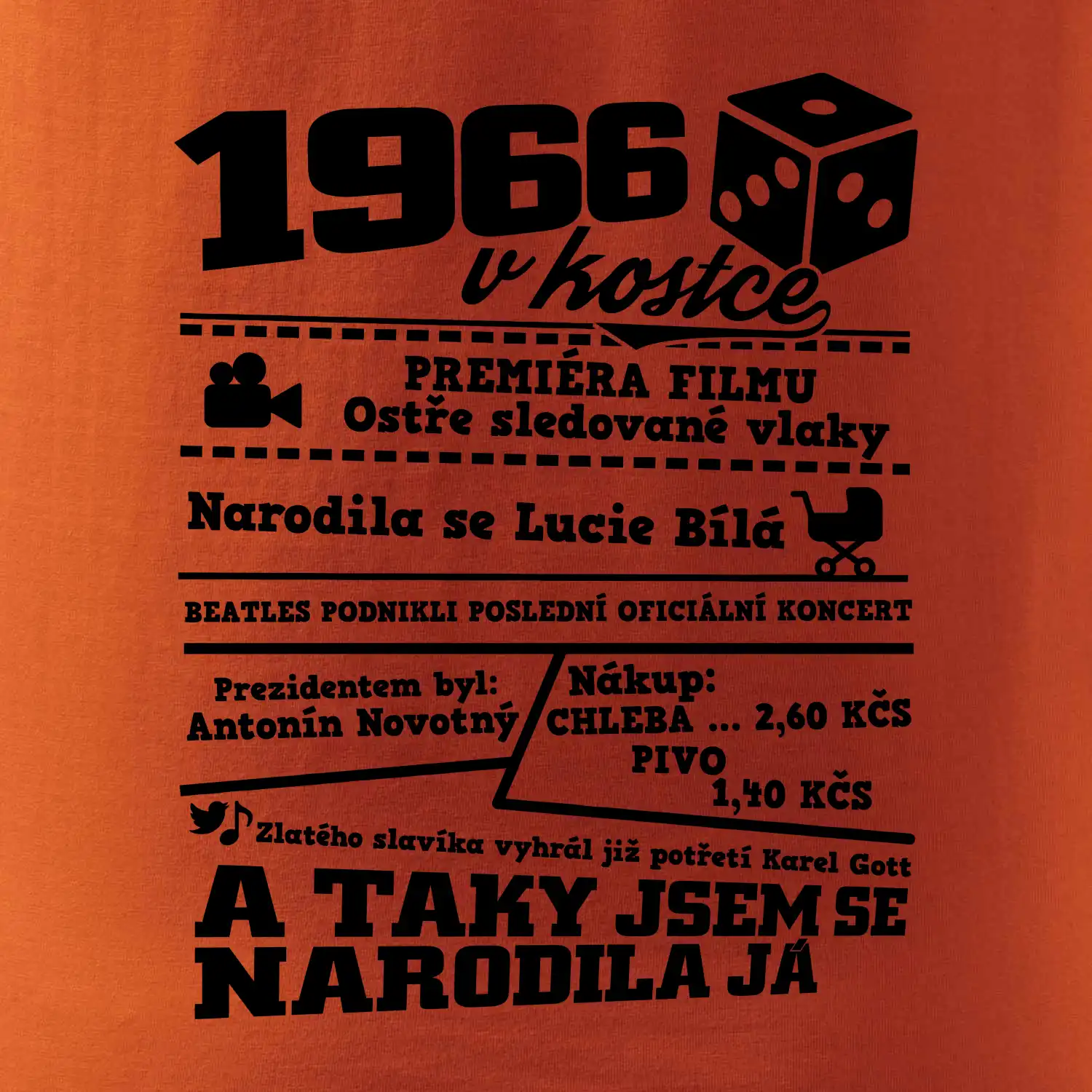 1966 v kostce