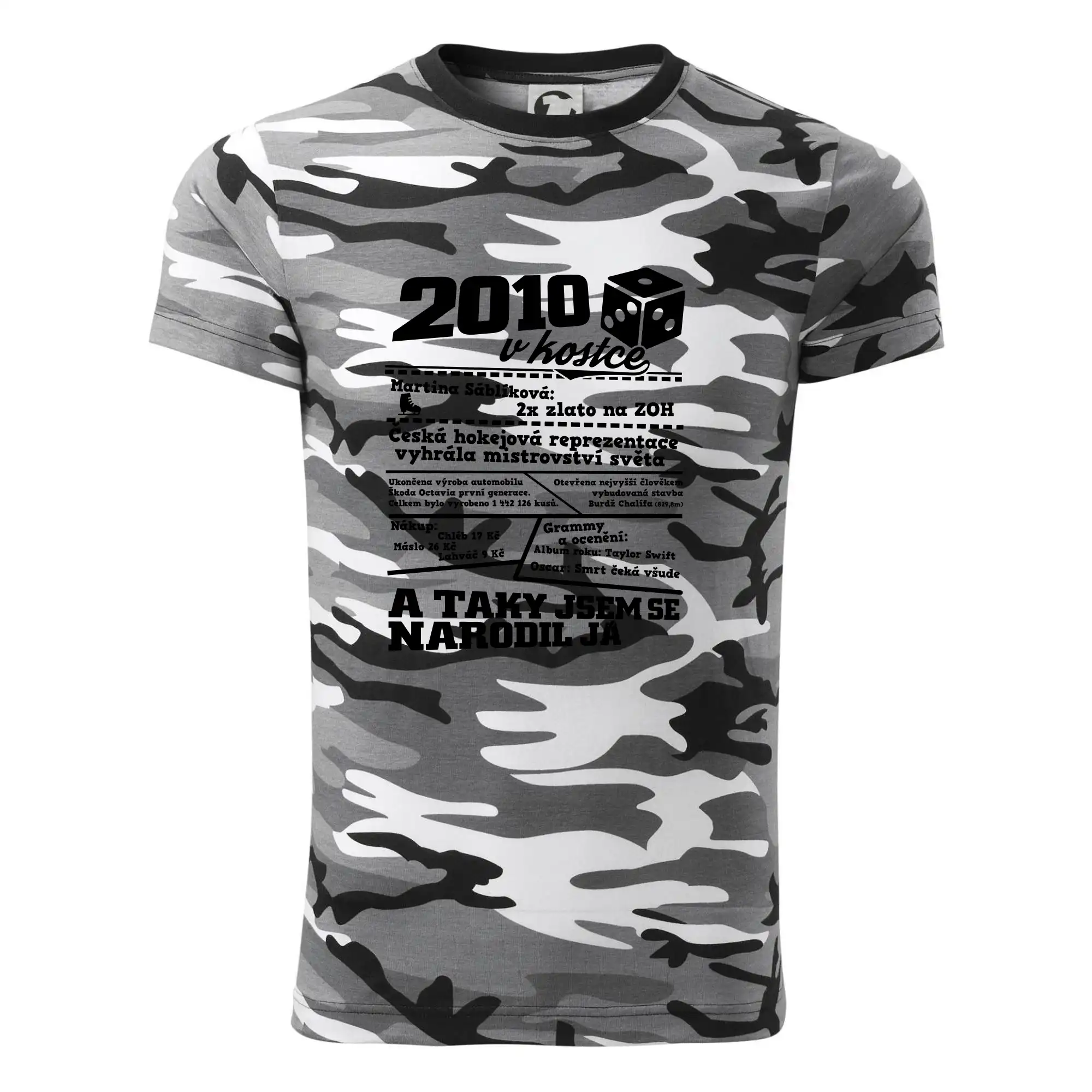 2010 v kostce