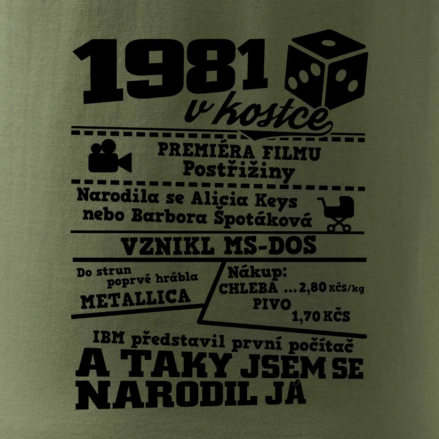 1981 v kostce