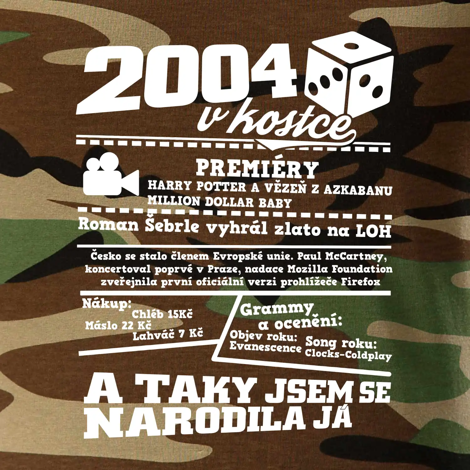 2004 v kostce