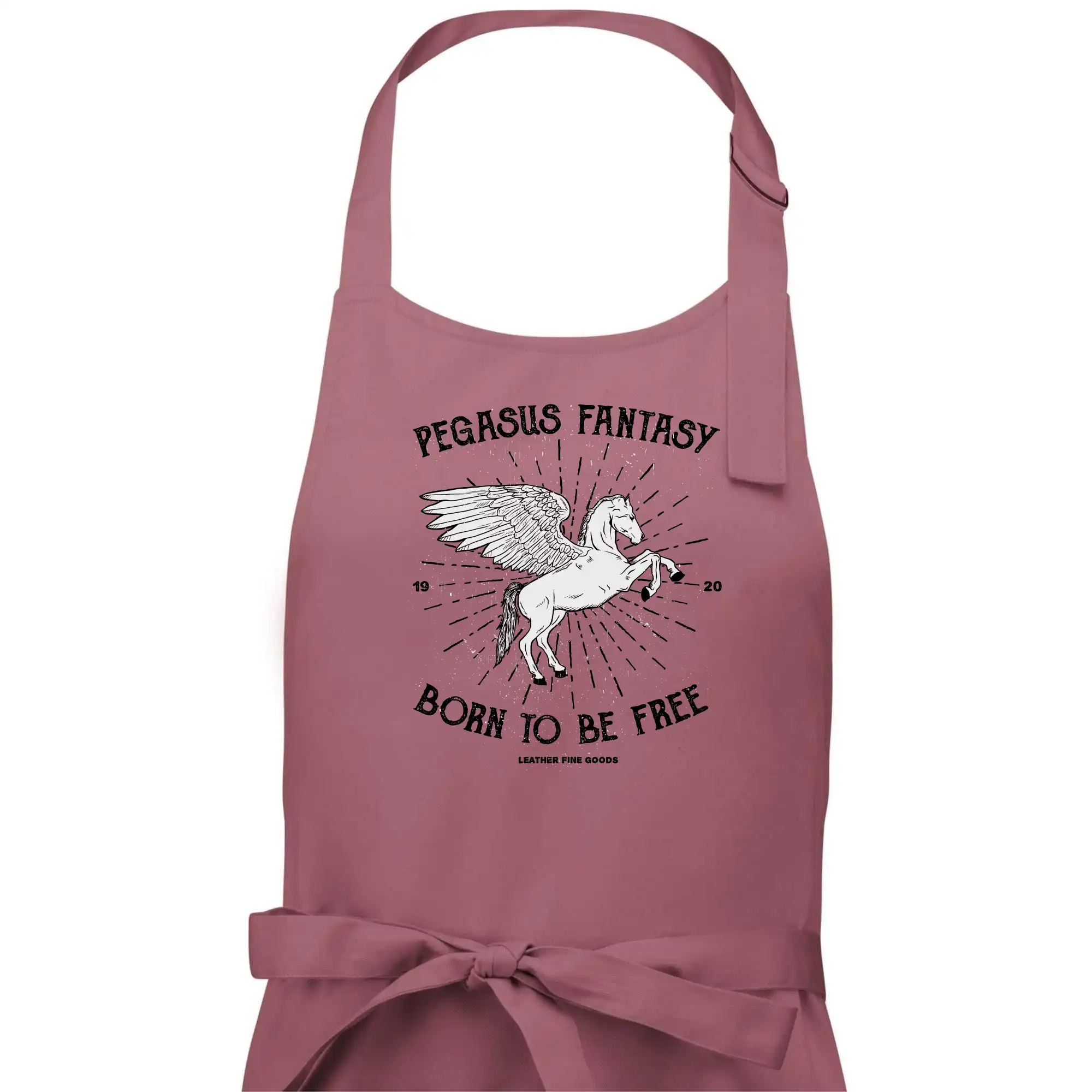 Pegasus fantasy