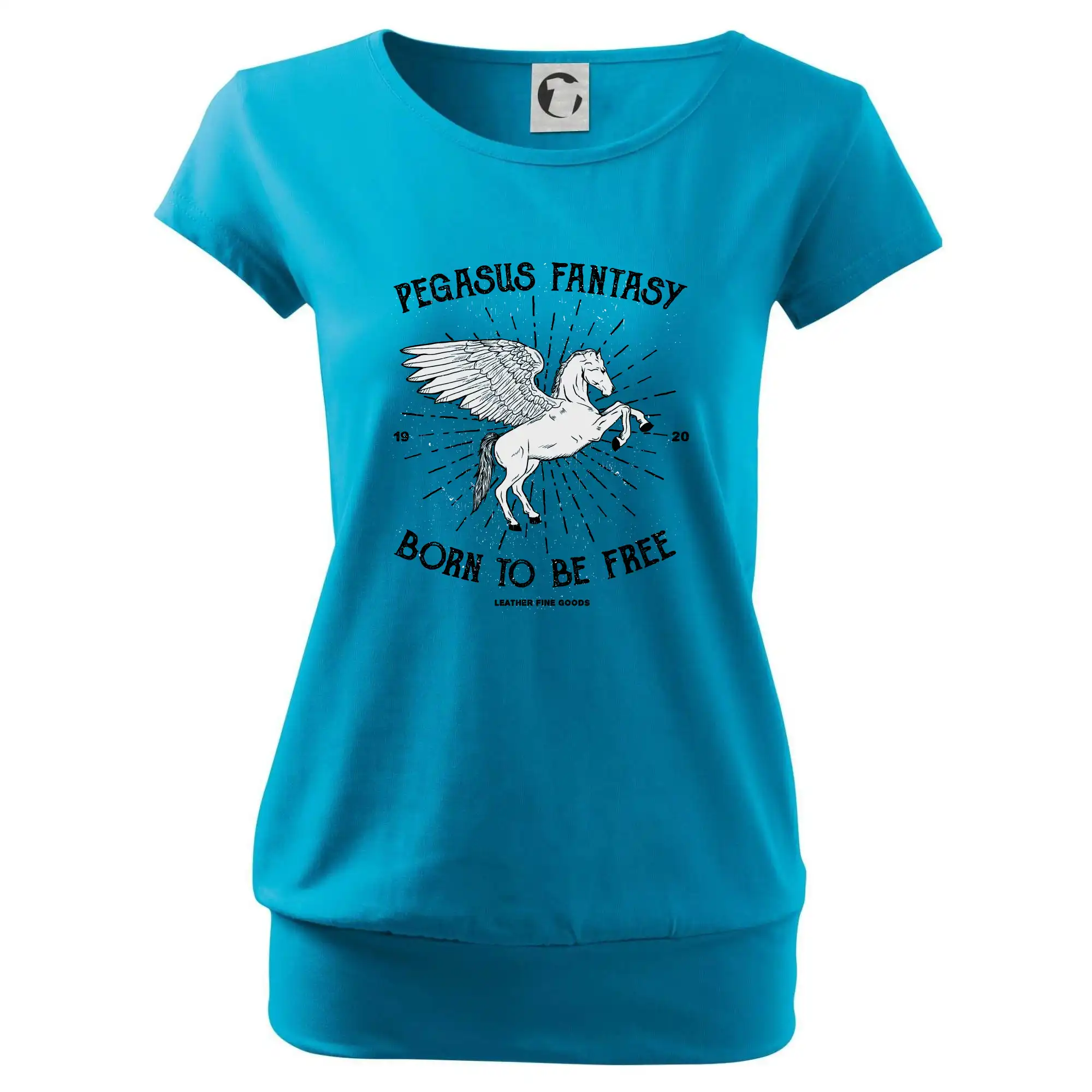 Pegasus fantasy