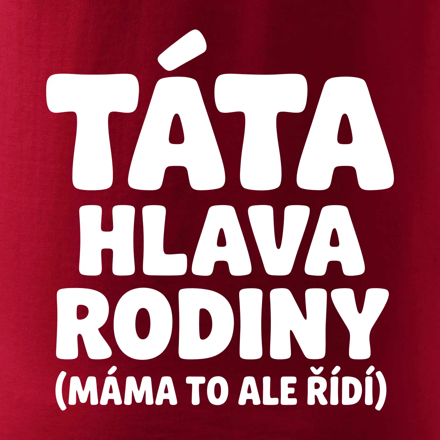 Táta - hlava rodiny  (máma to,  ale řídí)